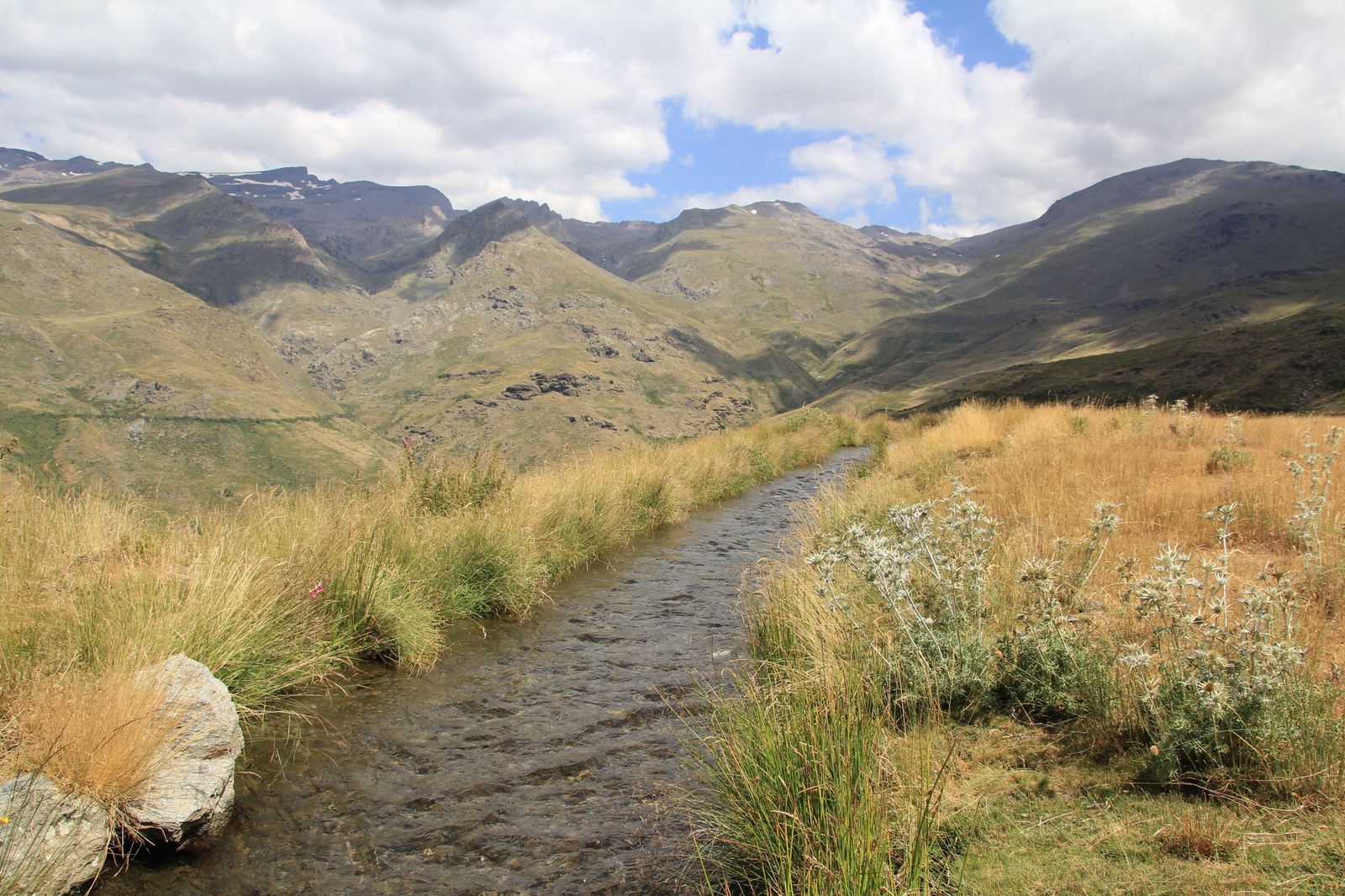 Acequia Alta, al fondo el Mulhacén y el Veleta