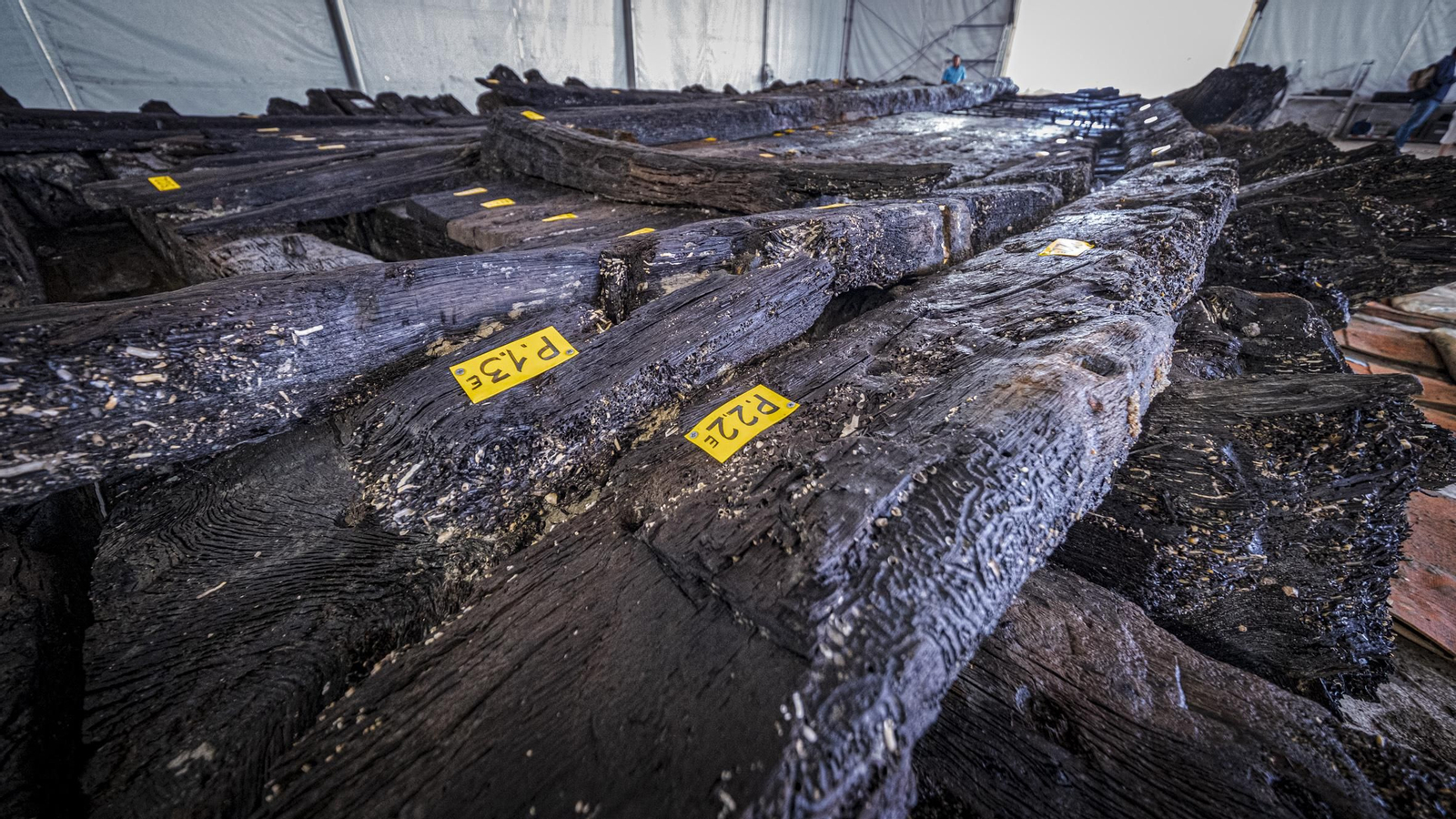 Las imágenes del pecio del siglo XVII (Delta I) rescatado en aguas de la Bahía de Cádiz