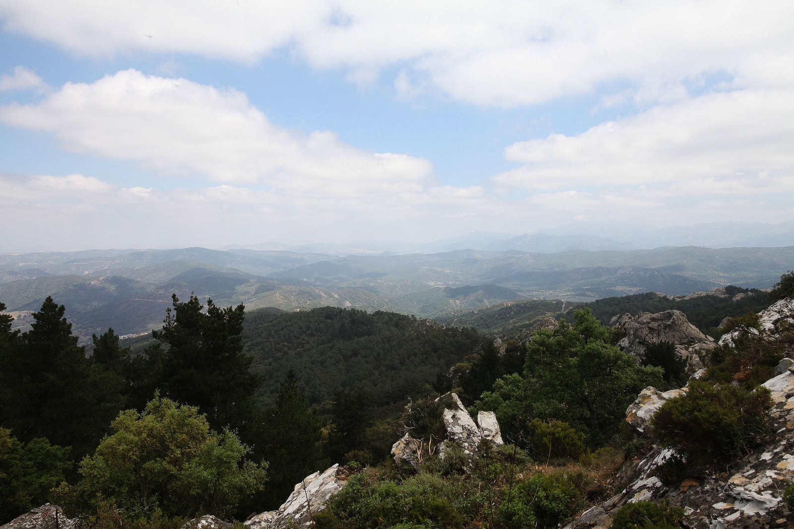 Vista de los Montes de Propio