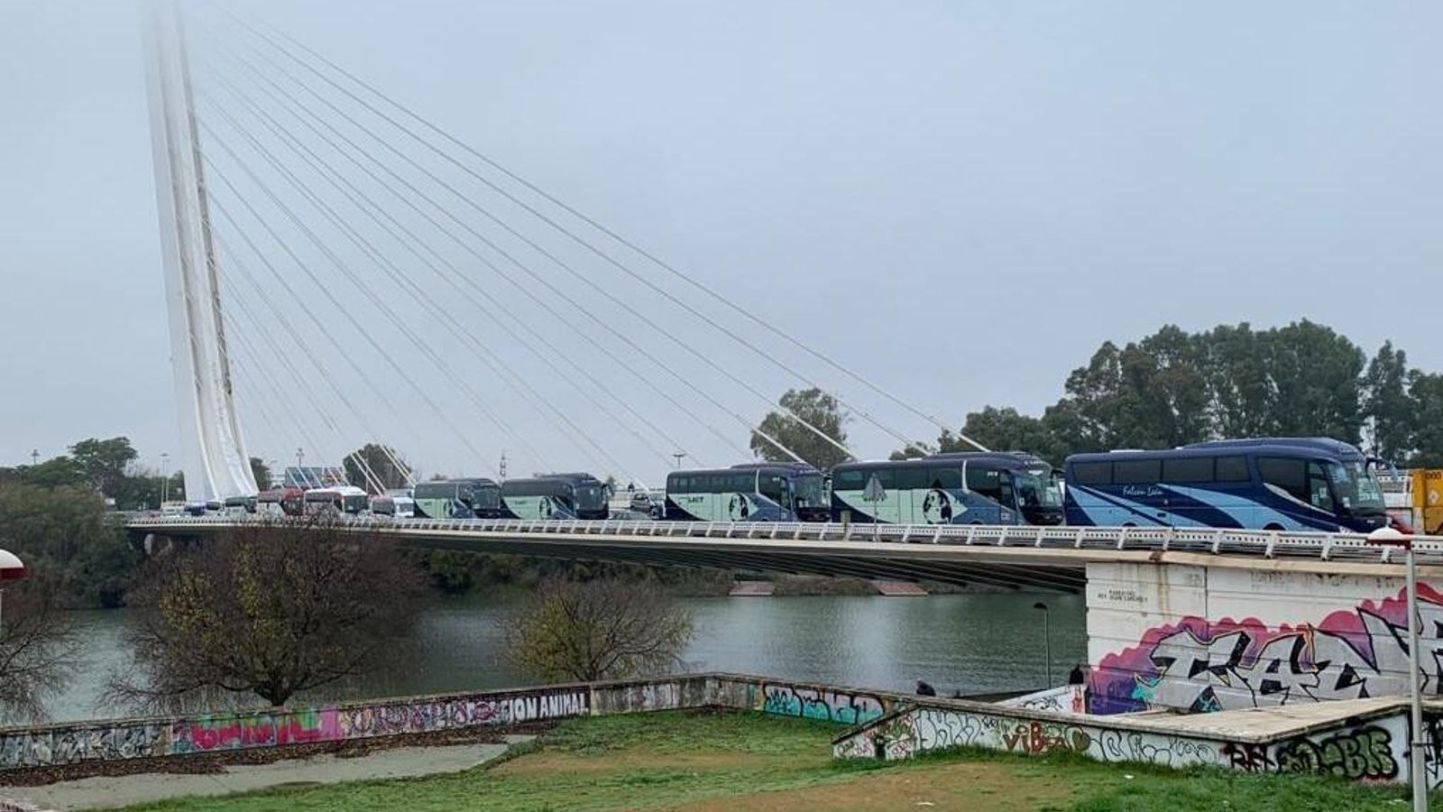 Cola de autobuses entrando por el Alamillo este viernes por la mañana.