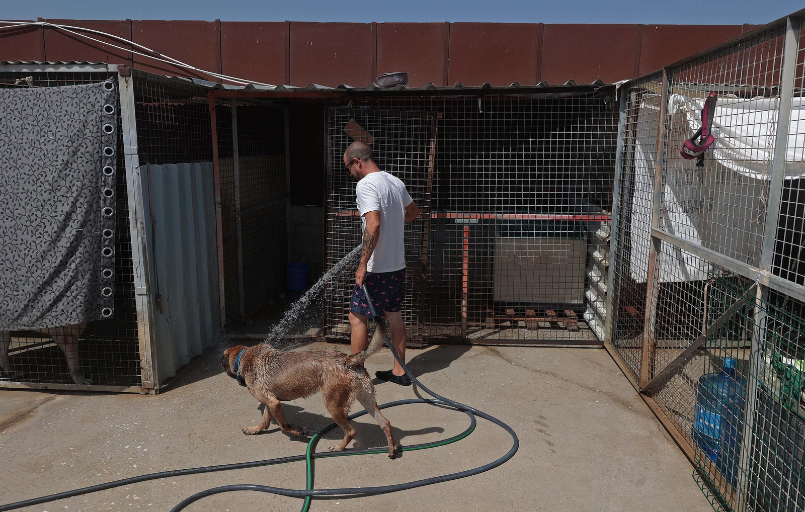 Imágenes de la protectora de animales del Campo de Gibraltar en Los Barrios