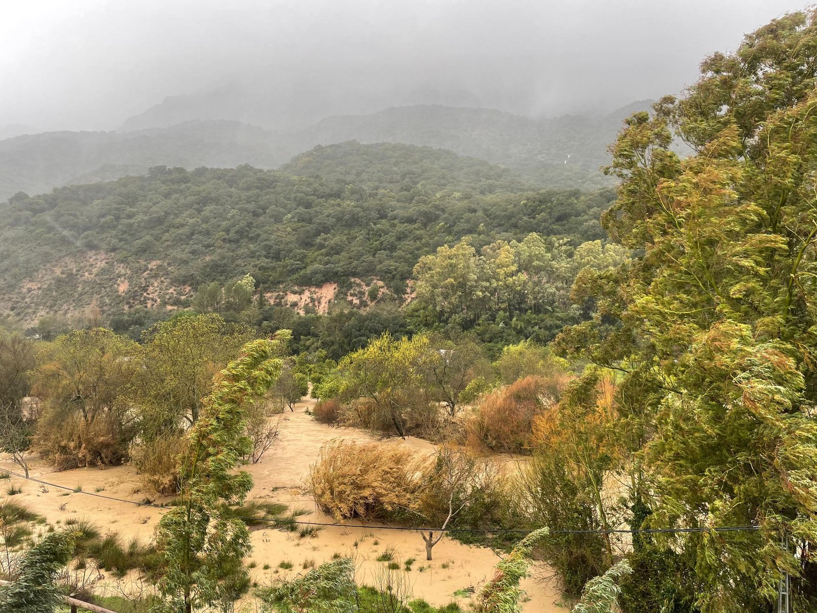 Río Guadiaro, a su paso por la Estación de Jimera de Líbar