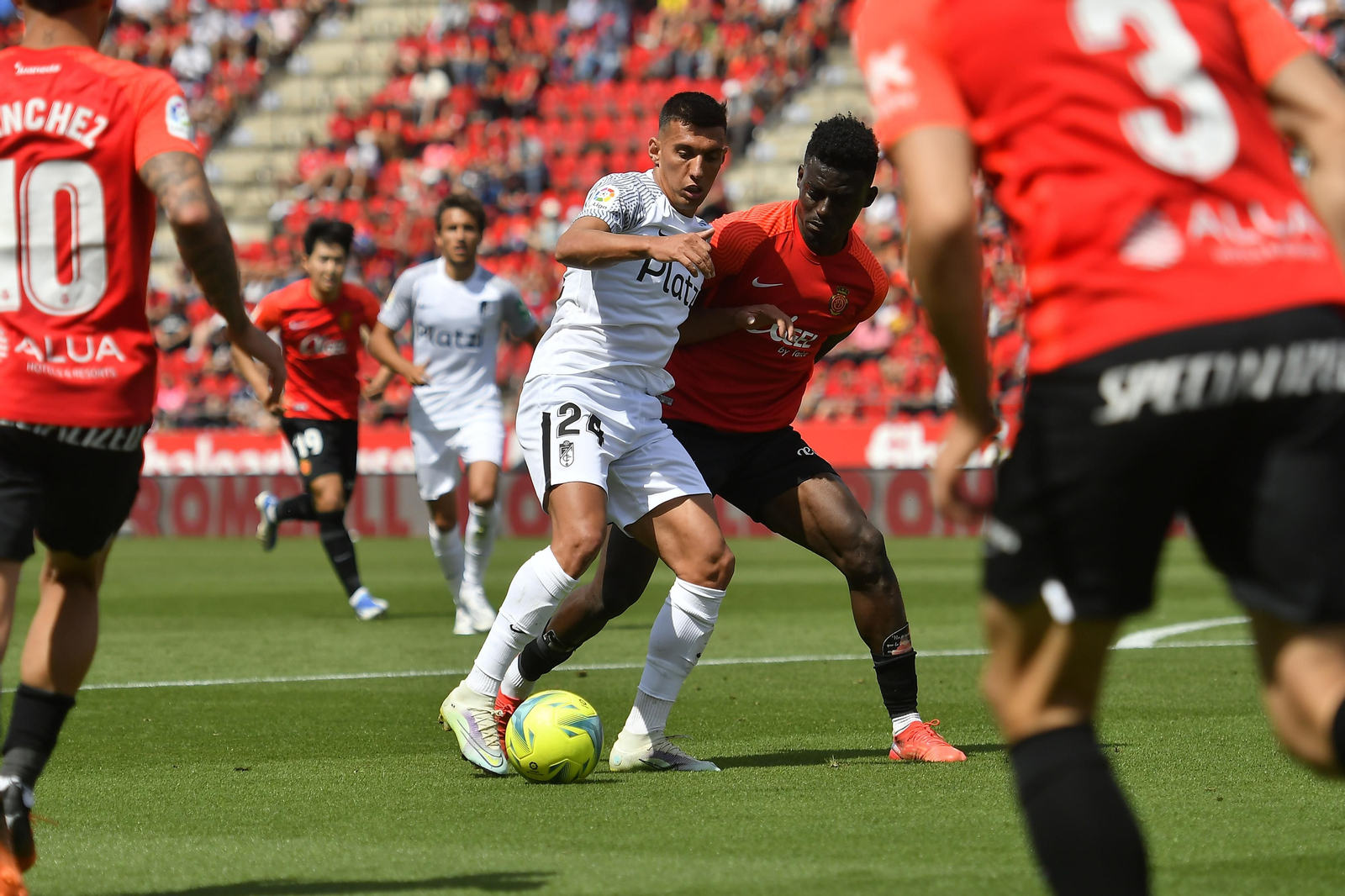 El Mallorca-Granada CF, en imágenes