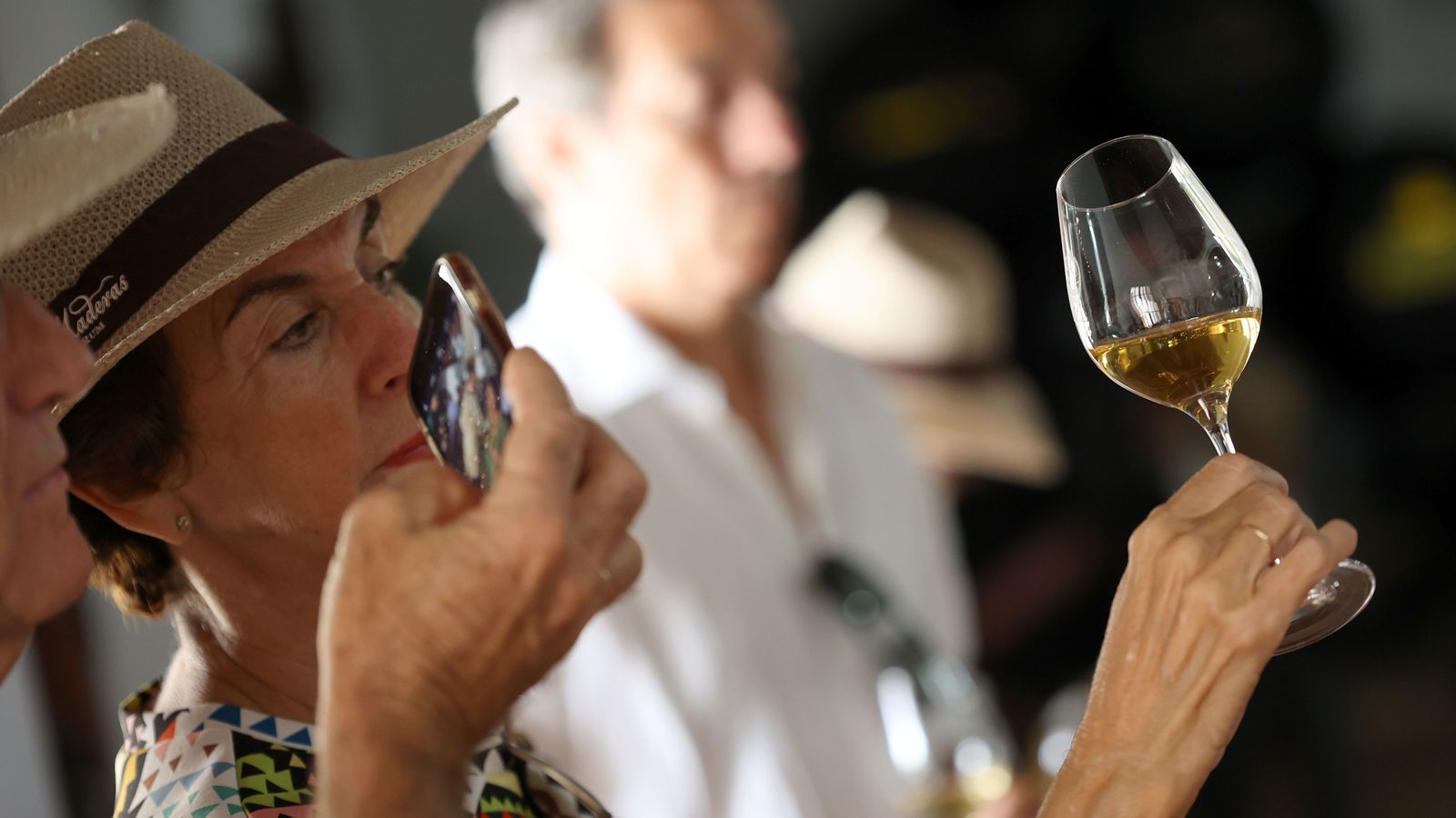 Vinos ecológicos con uva Pedro Ximénez