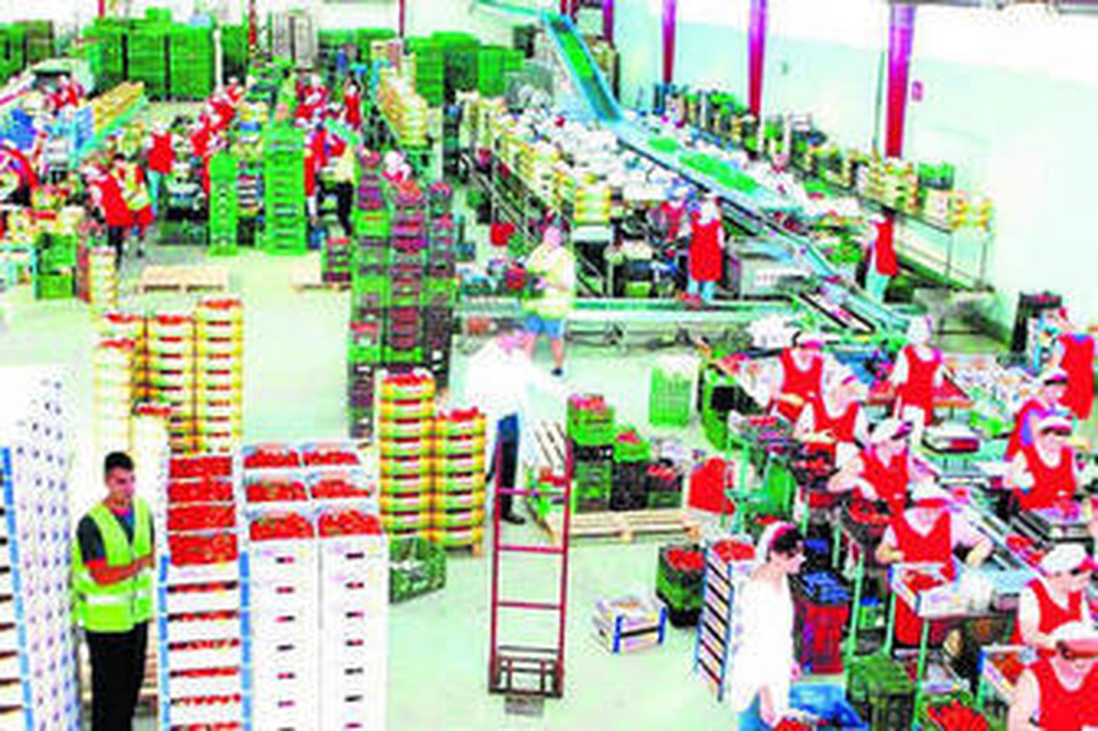 Instalaciones de Caparrós  Nature, de Frutas Caparrós, ubicadas en El Alquián.