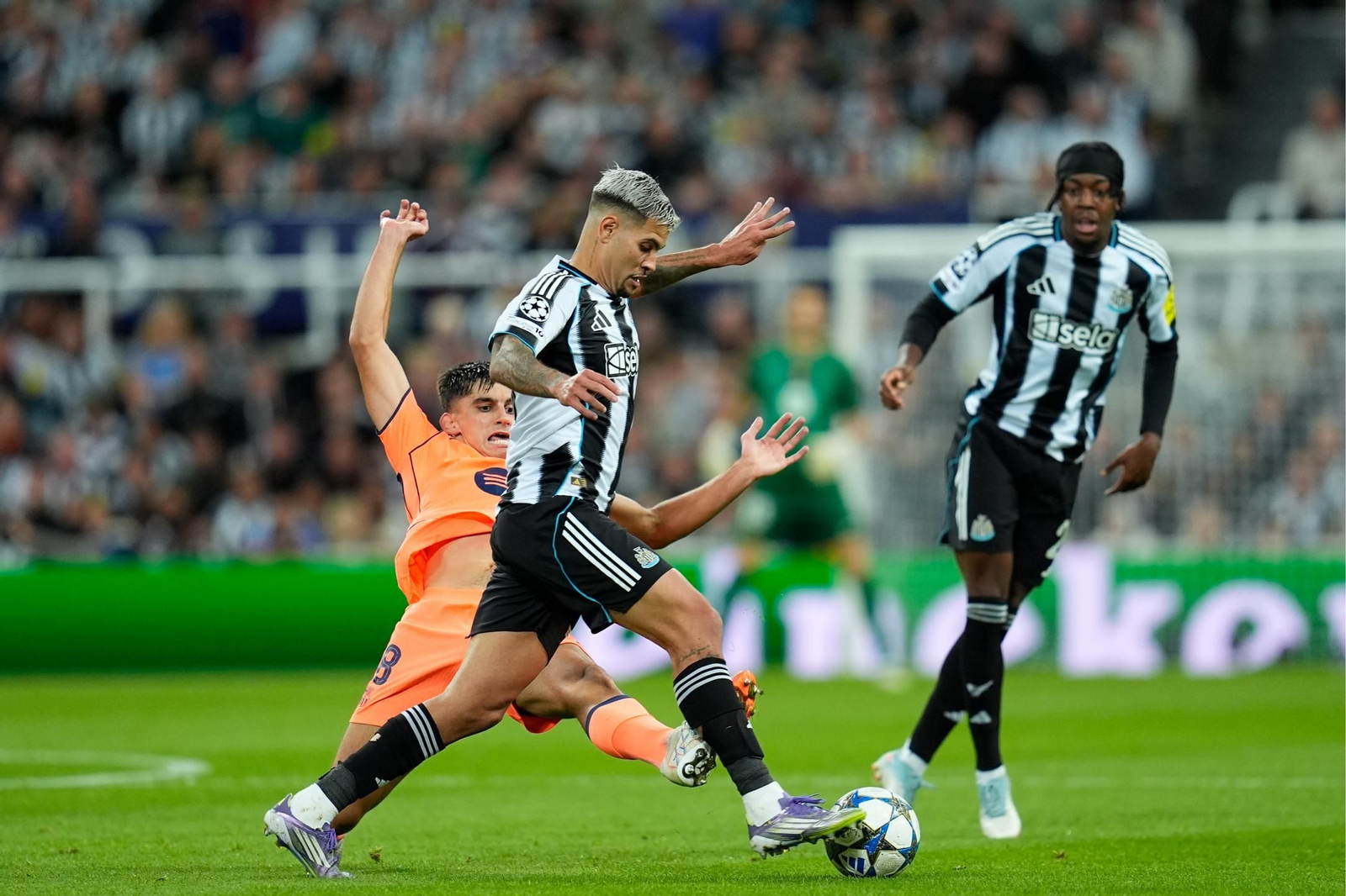 Las fotos del Newcastle-Barcelona