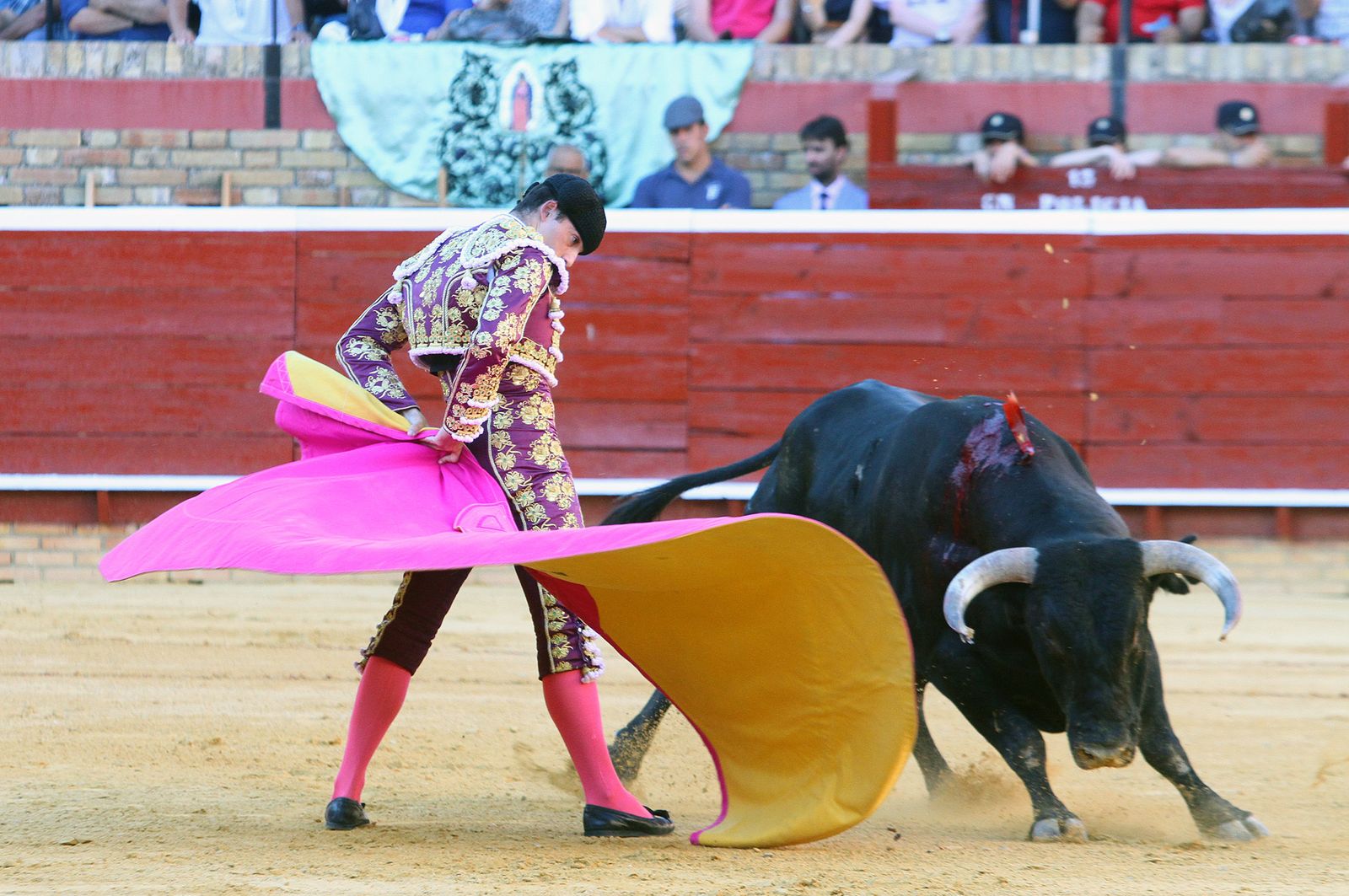 Imágenes de la Novillada de Rafael Serna, Emilio Silvera y Rodrigo Molina.