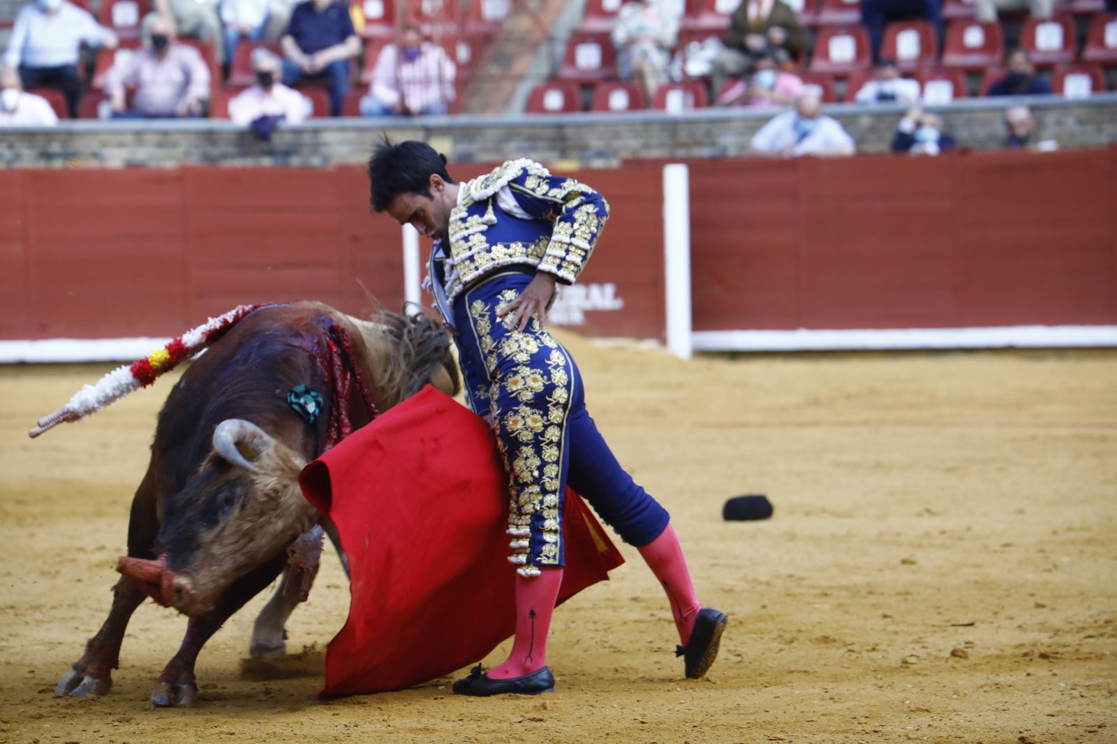 Las fotografías de la novillada con picadores de la Feria Taurina de Córdoba
