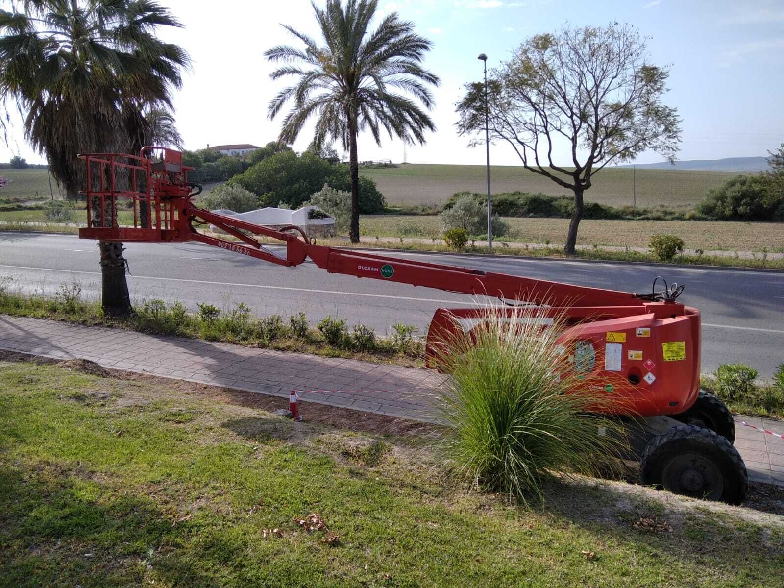 Plataforma sobre la que estaba trabajando el jardinero herido.
