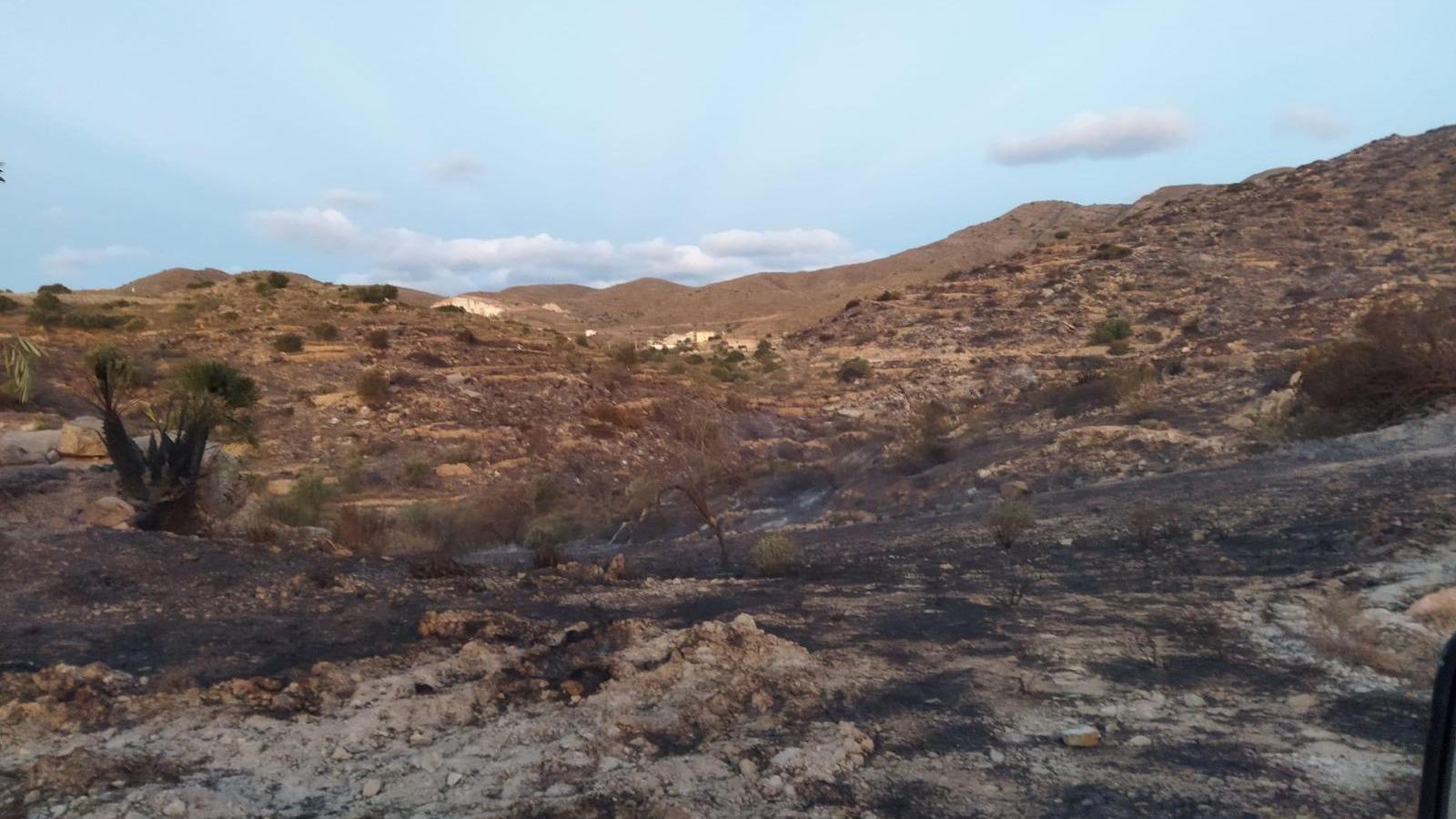Así han dejado las llamas el paraje de El Chive.