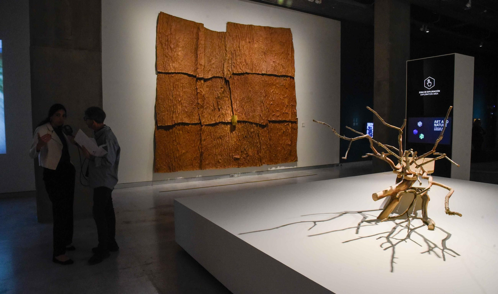 Caixa Fórum Sevilla inaugura la exposición “Arte y naturaleza: un siglo de biomorfismo”