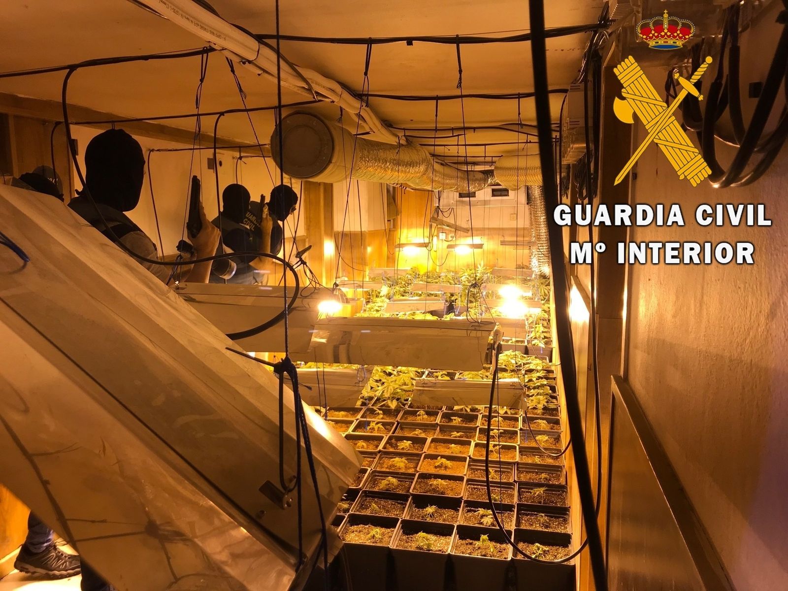 Instalación eléctrica ilegal en una plantación de marihuana desmantelada por la Guardia Civil en Huelva.