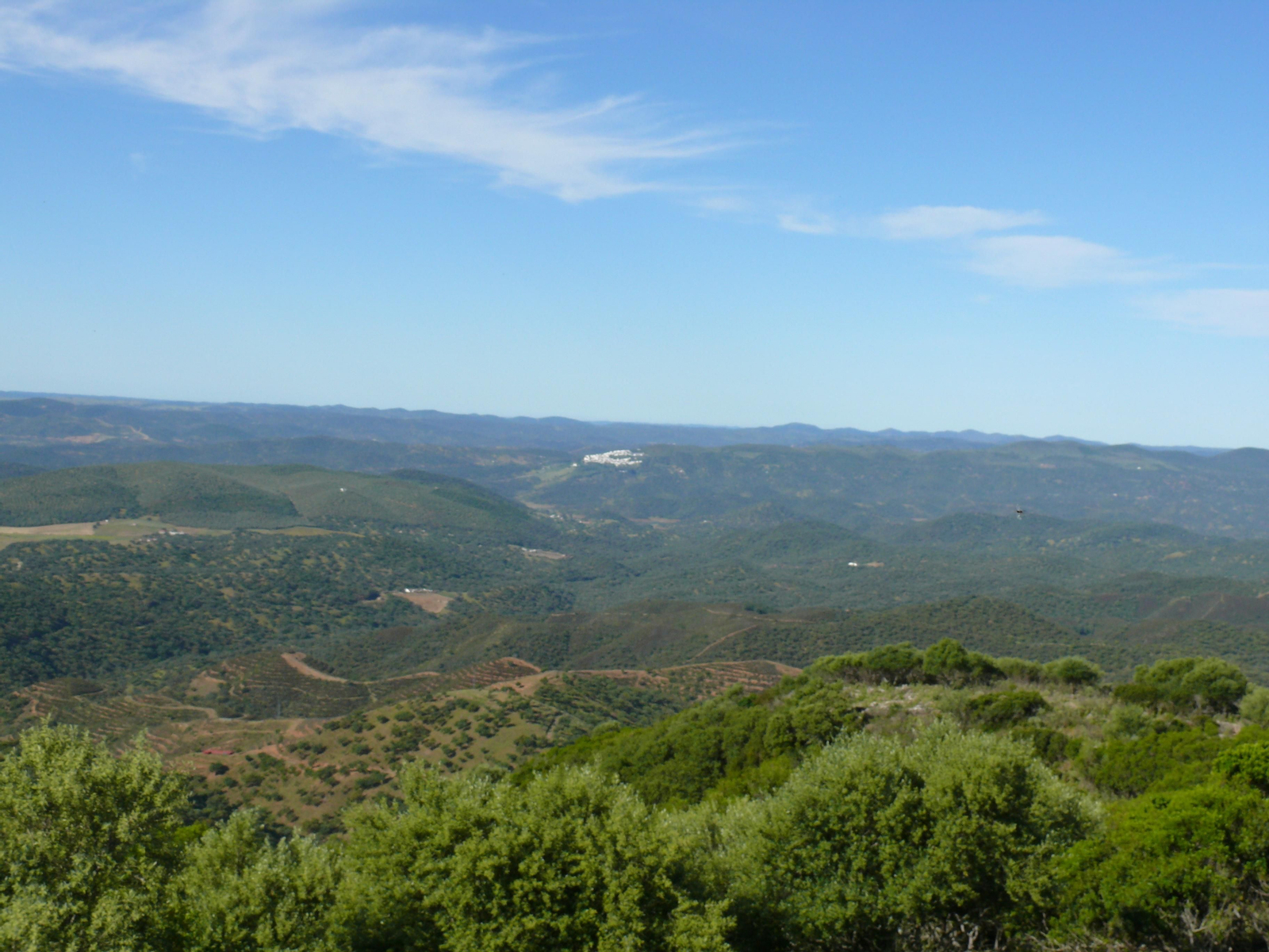 Las imágenes de la subida al Mojón en Santa Olalla