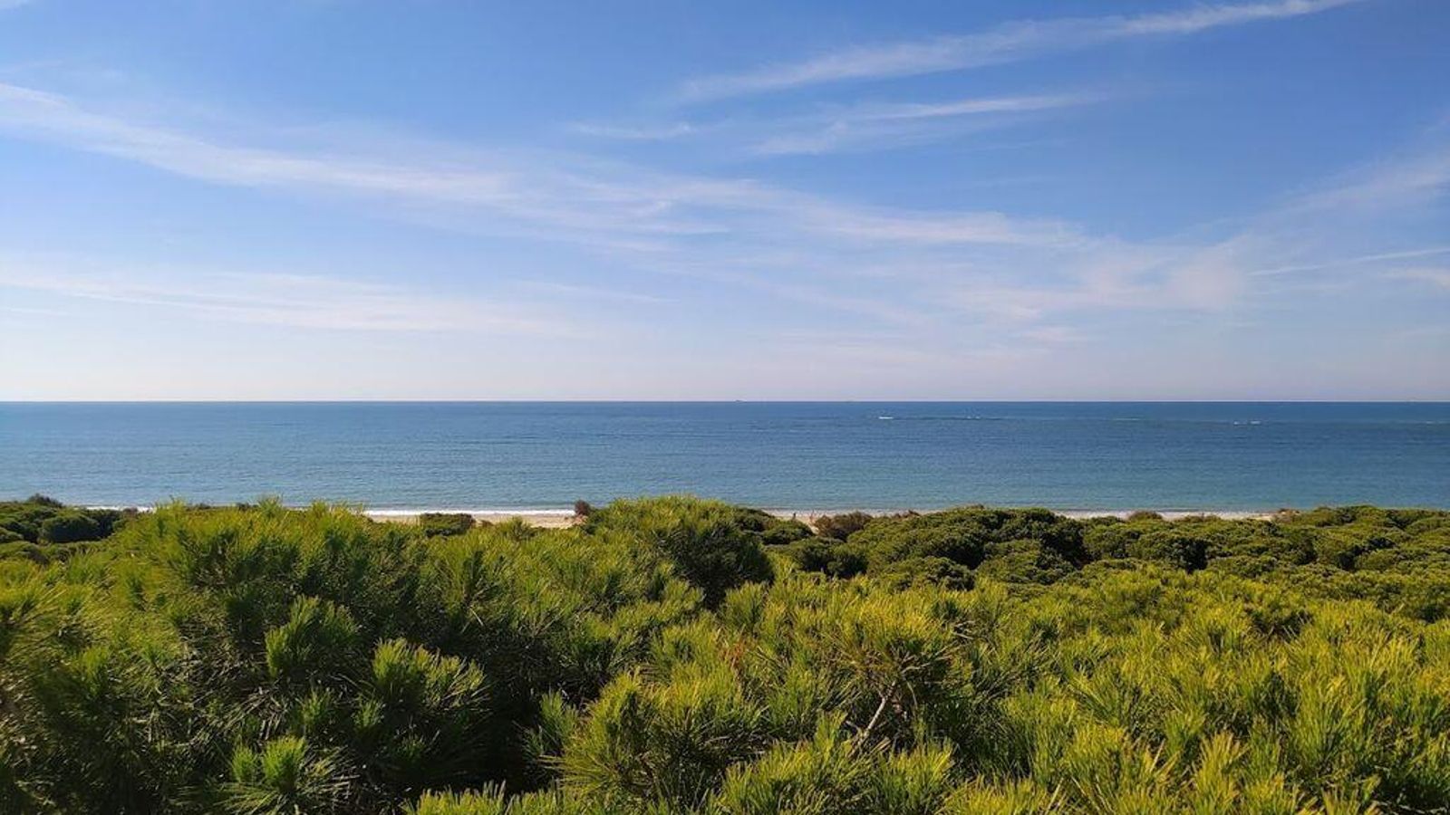 Mirador Pinares de Rota.