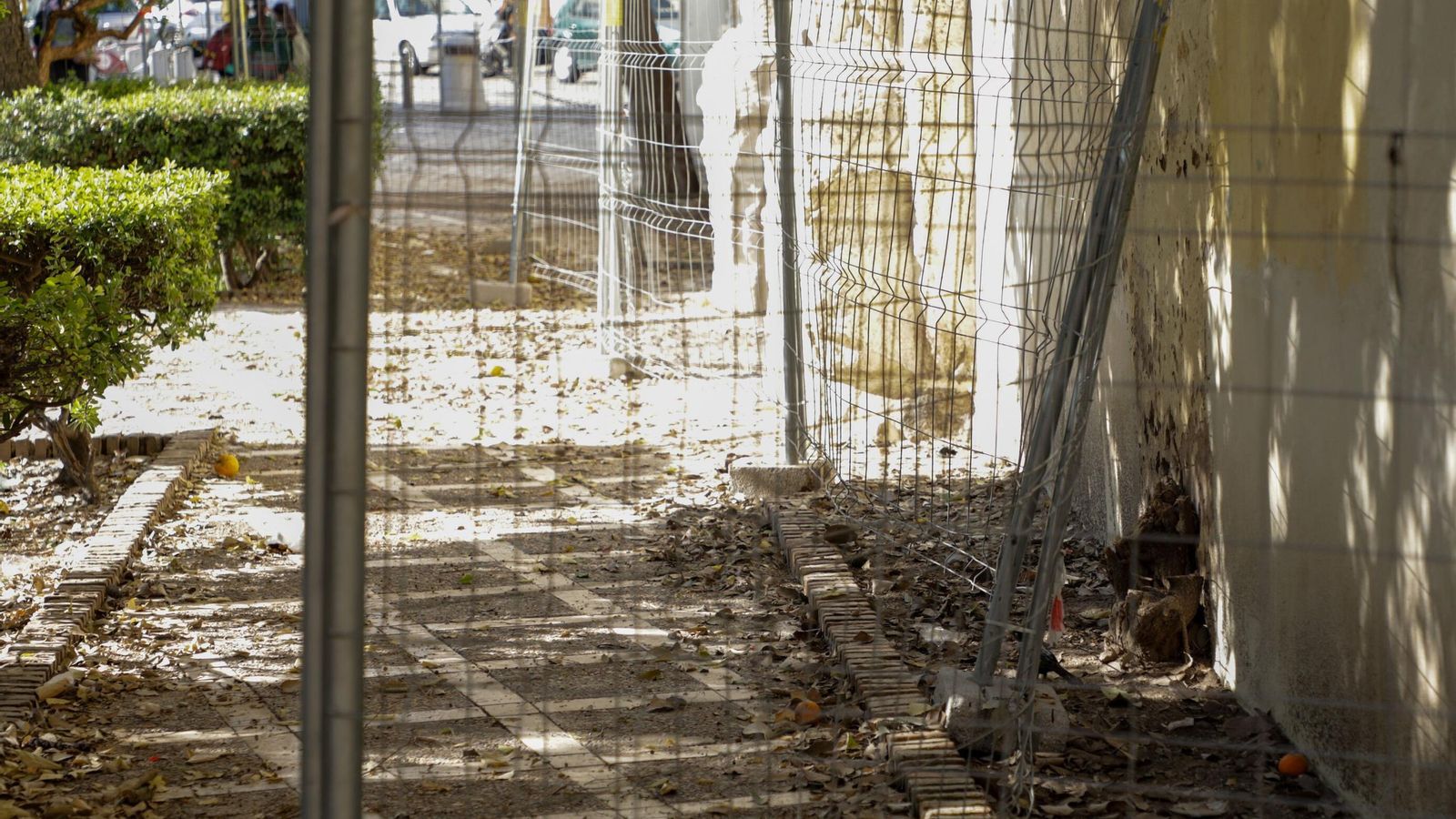 Las hojas se acumulan en la Plaza de Santa Isabel durante las semanas de vallado.