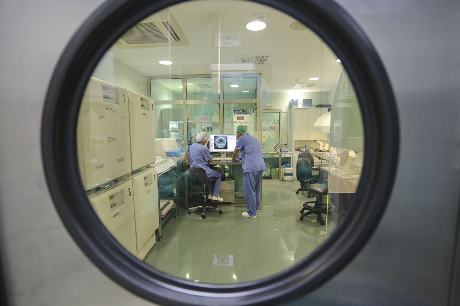 Dos profesionales del Centro Gutenberg observan un embrión.