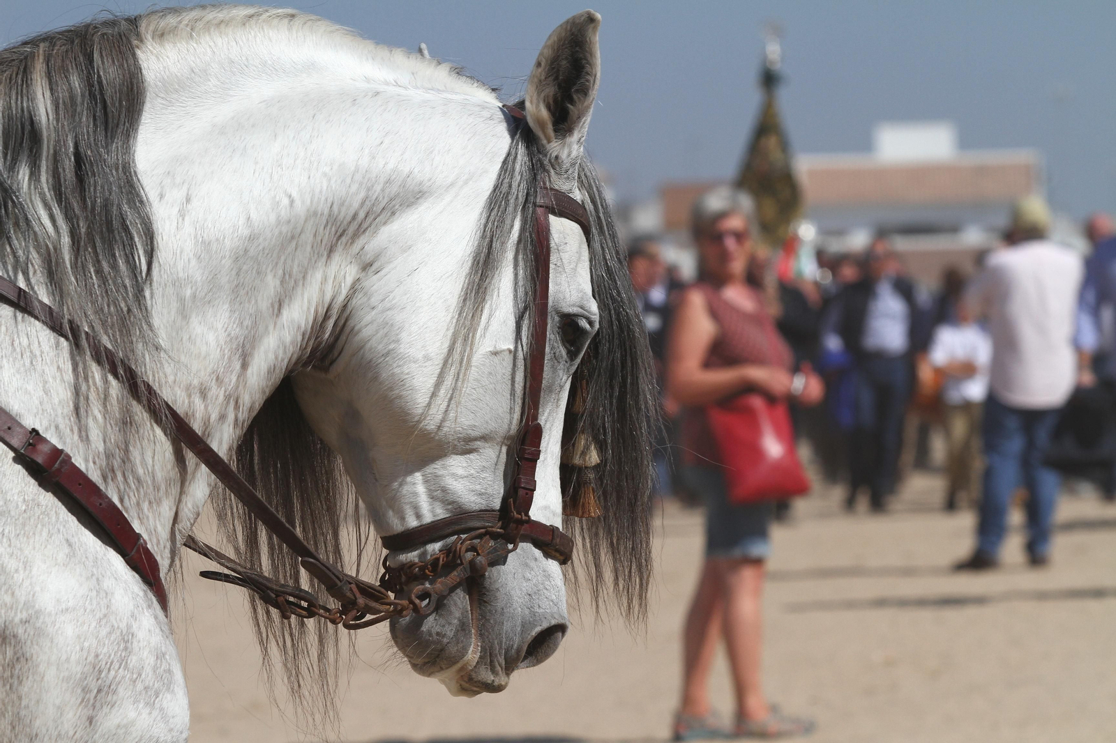 La Hermandad de Huelva se presenta ante la Virgen del Rocío en su peregrinación a la aldea almonteña