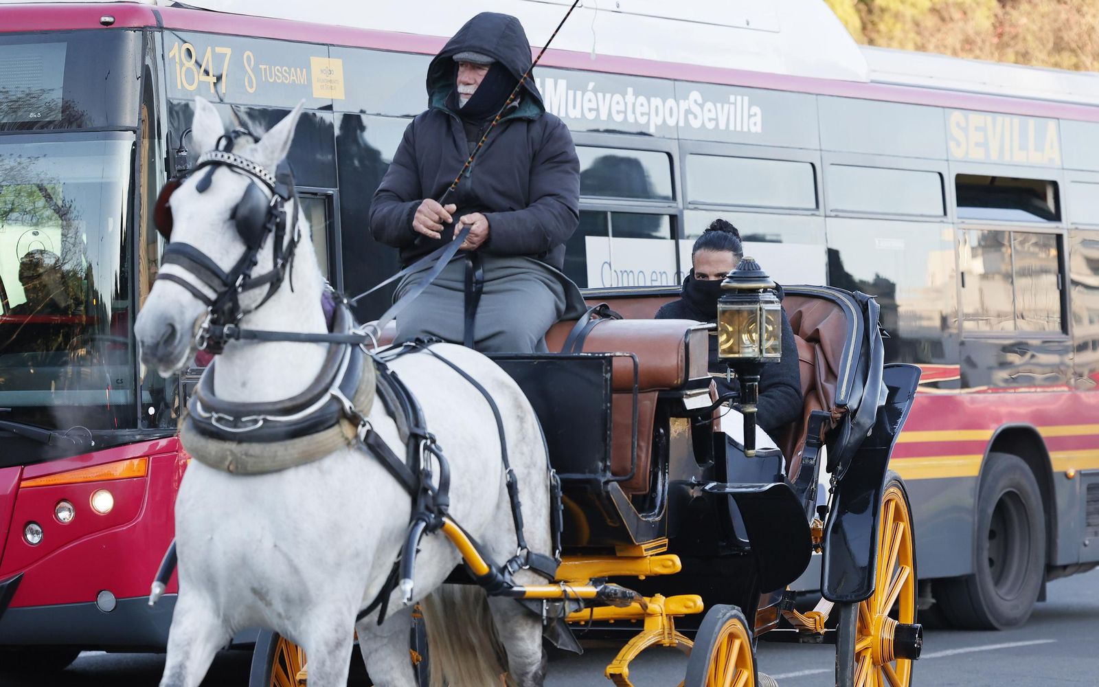 Las fotos del frío en Sevilla