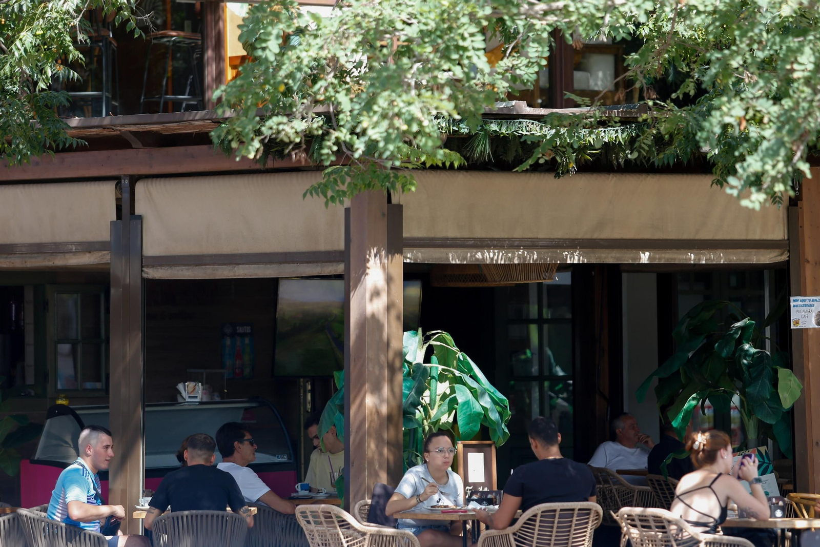 Fotos de una mañana de verano en Palmones