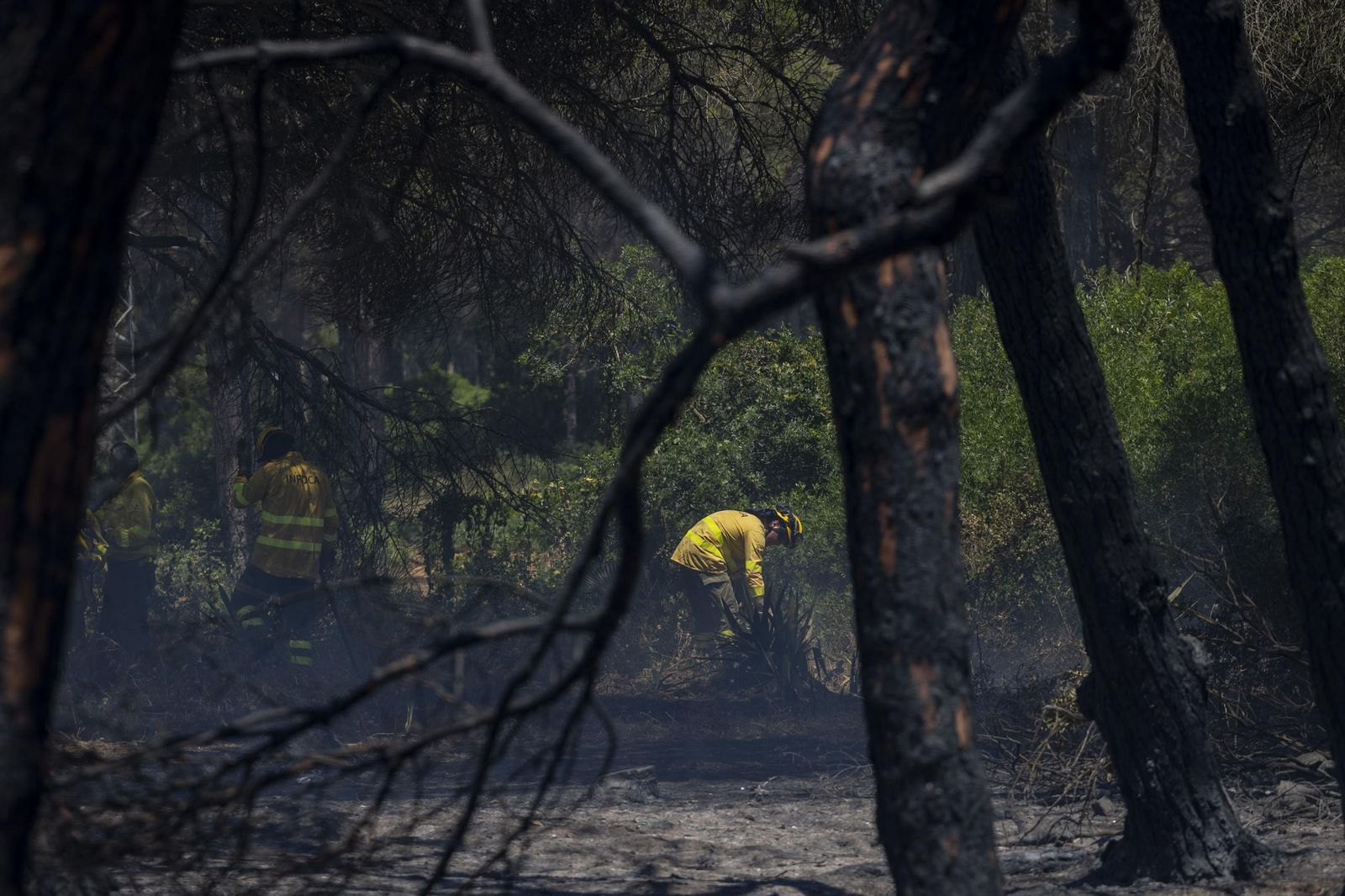 Las imágenes del incendio declarado junto a Roche, en Conil