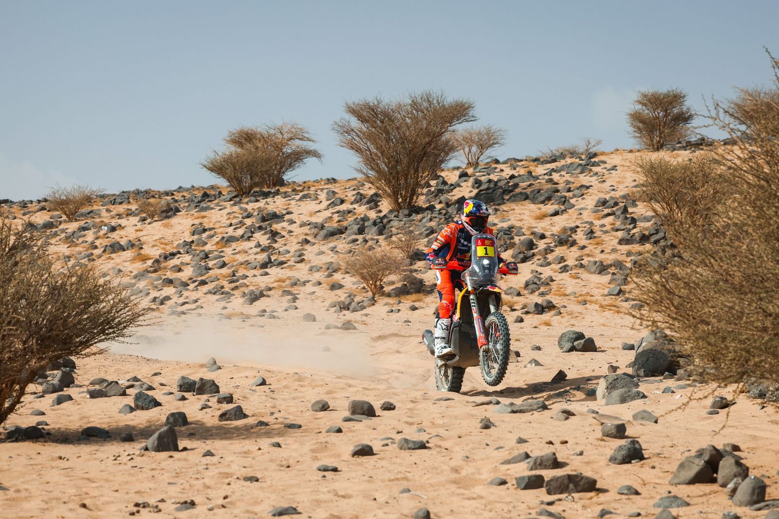 Las mejores fotos del Rally Dakar | undécima etapa
