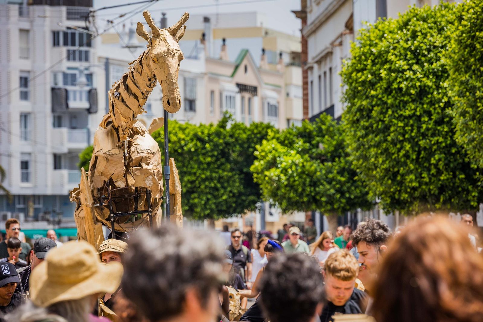 Las imágenes de 'La estampida' en San Fernando
