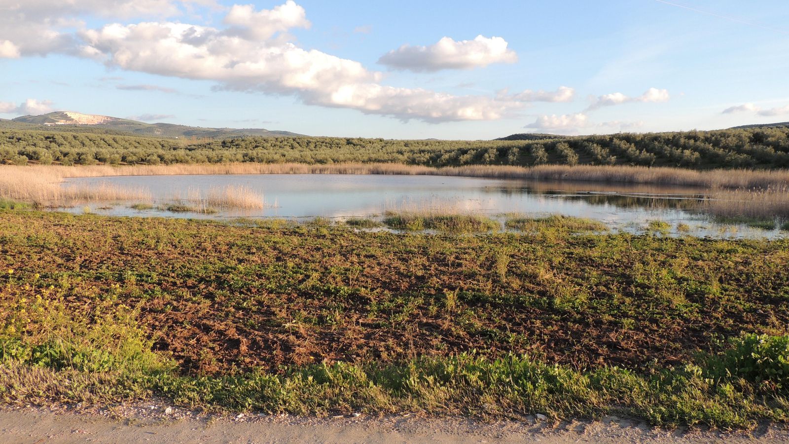Laguna de San Cristóbal, en Cabra. Laguna de San Cristóbal, en Cabra.
