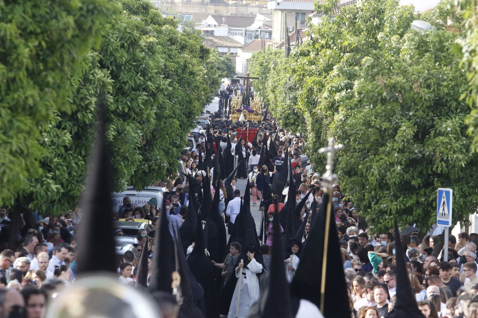 Domingo de Ramos en Córdoba: La procesión del Amor, en imágenes