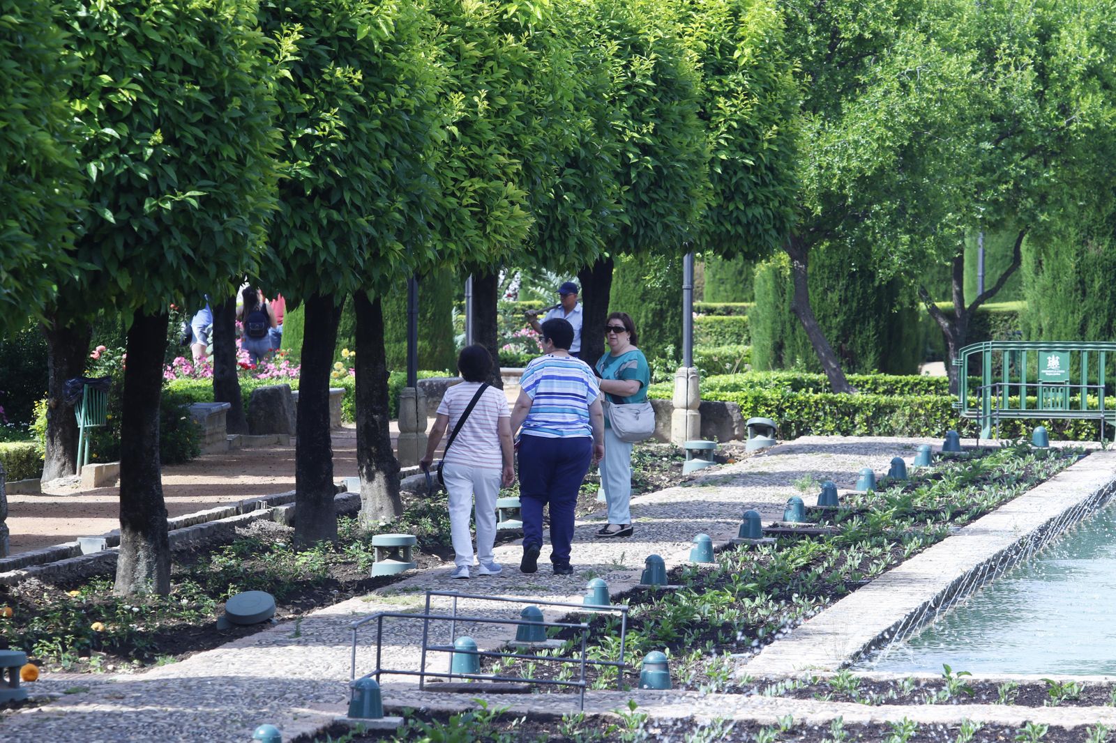 Las fotografías de la reapertura al público del Alcázar