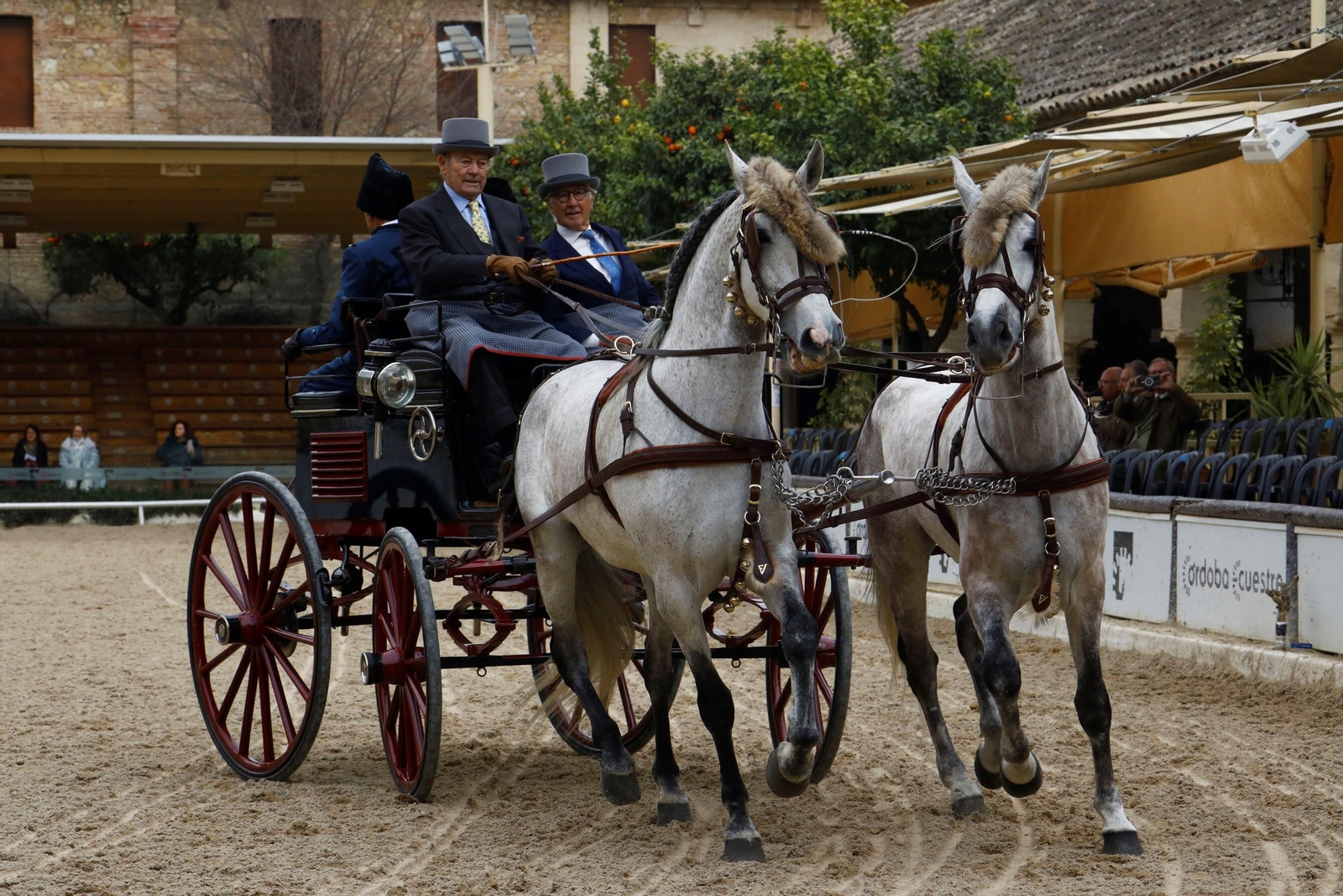 La exhibición de enganches en Caballerizas Reales de Córdoba, en imágenes