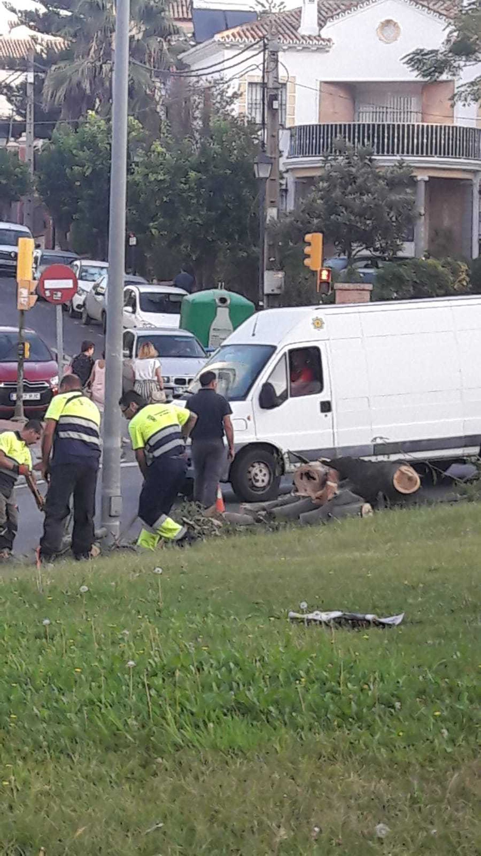 Un árbol se desploma en la rotonda de Juan Ramón Jiménez.