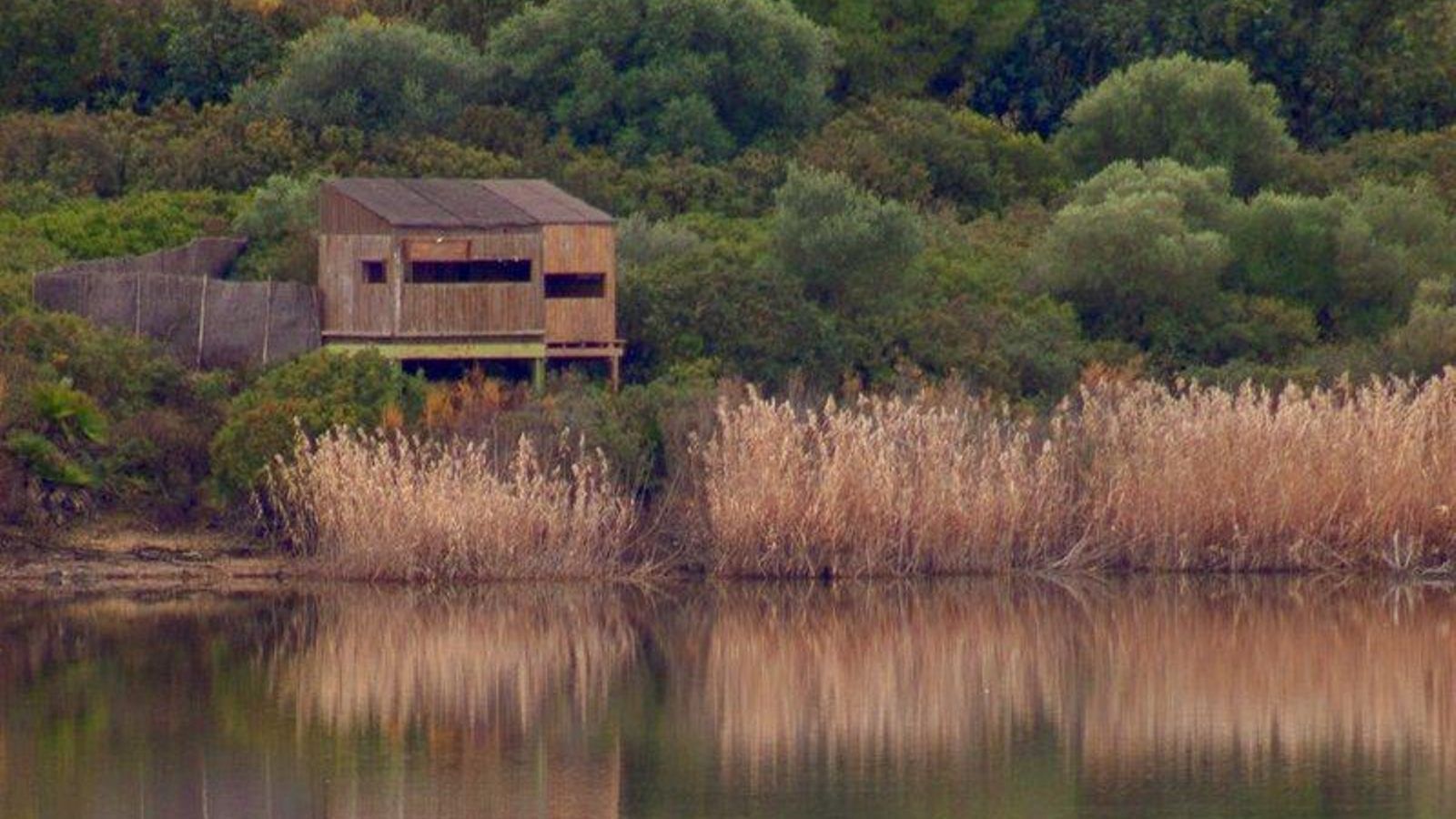 Laguna de Medina.