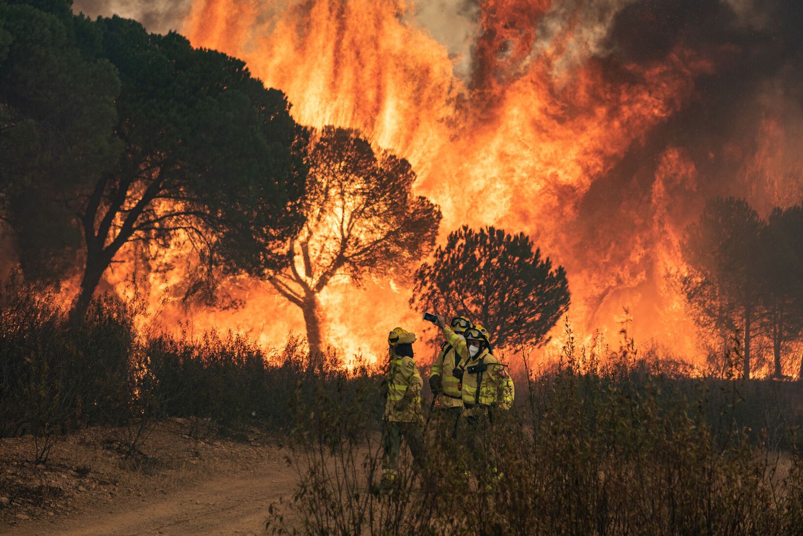 Incendio de Almonaster la Real en 2020.