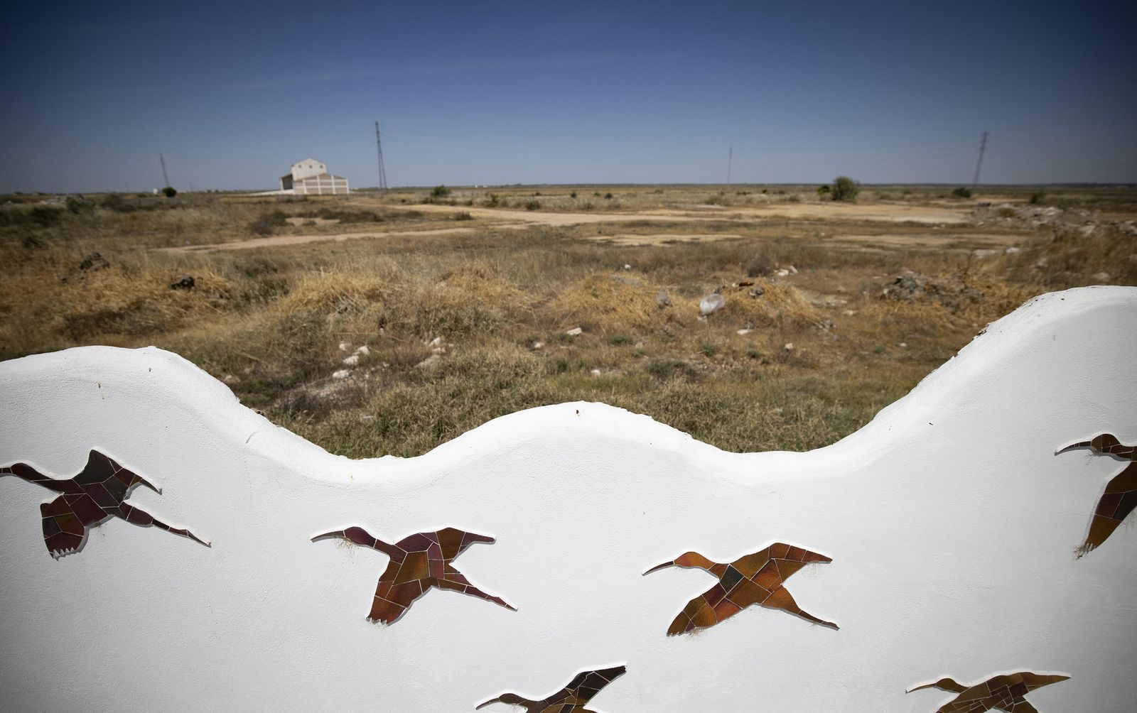 Una finca en Isla Mayor.