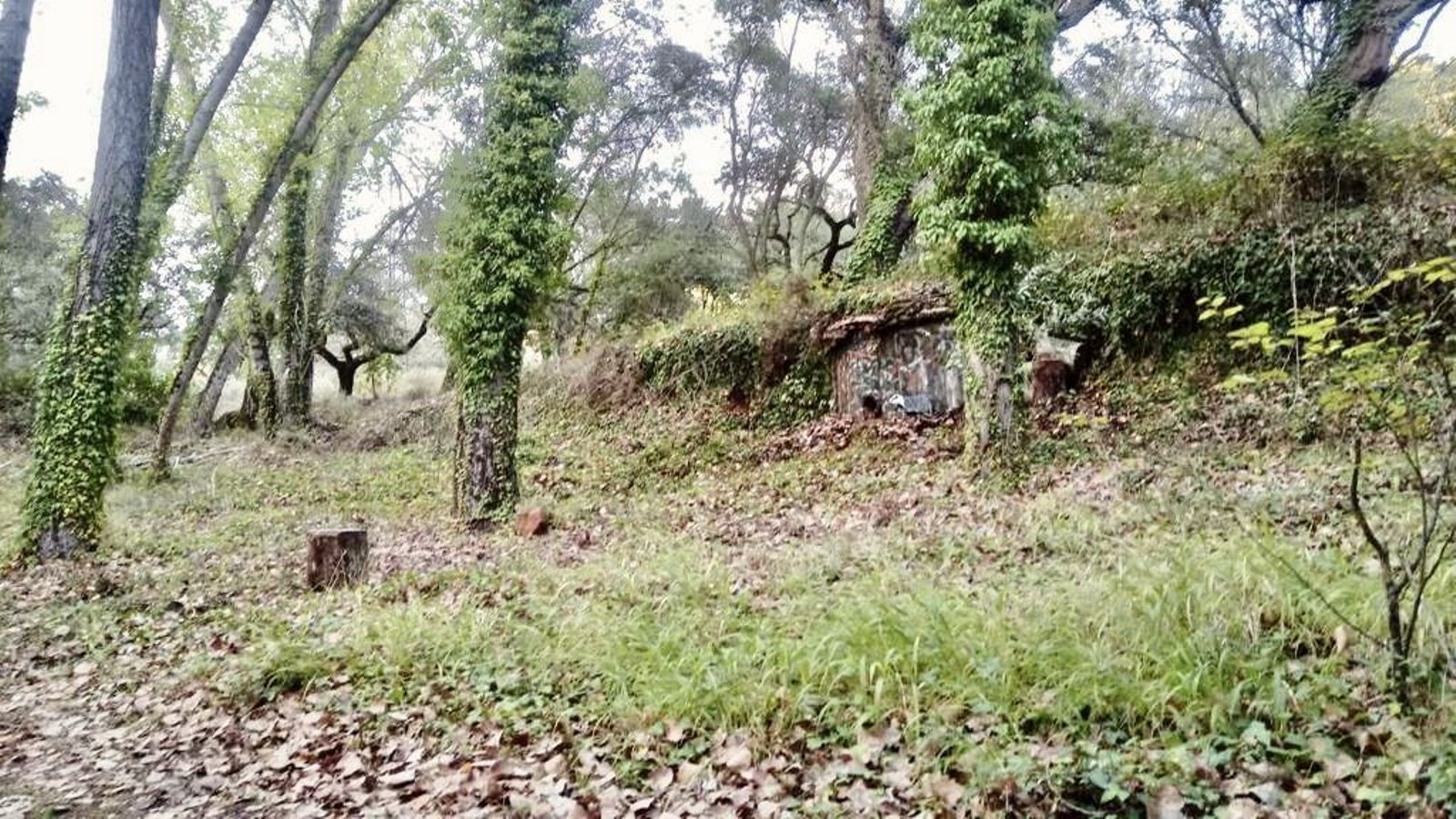 La nueva casita de cuento de Jabugo