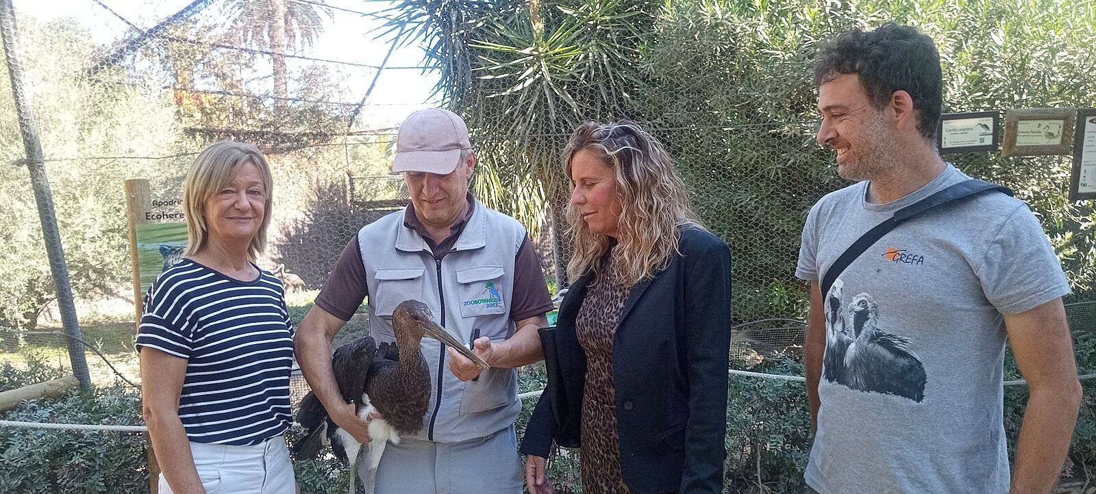 La Cig e a Negra Nacida En El Zoobot nico De Jerez Viaja A Madrid Para 
