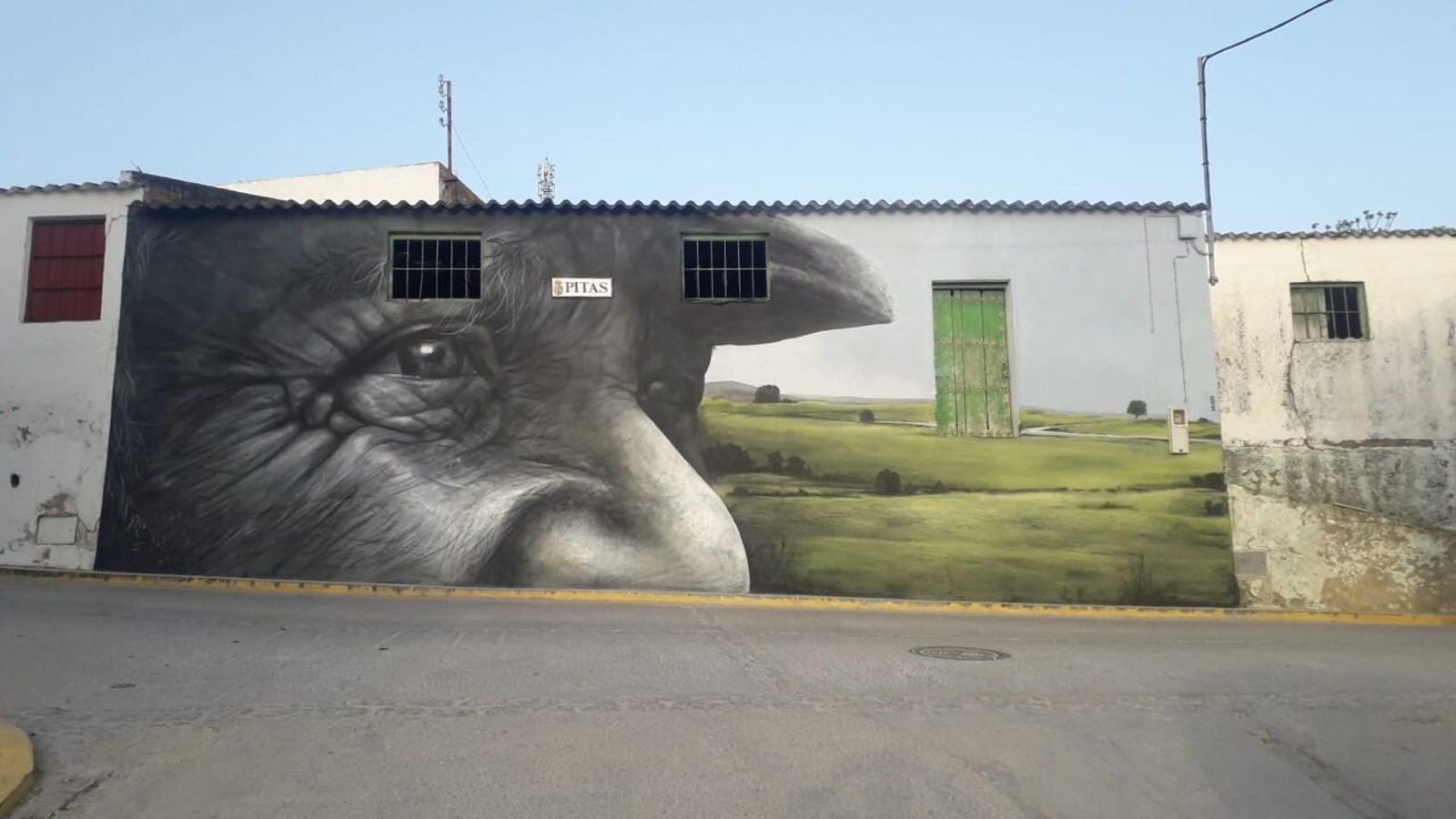 La mirada de Xolaca, en el mural que ha titulado ‘Juan’.