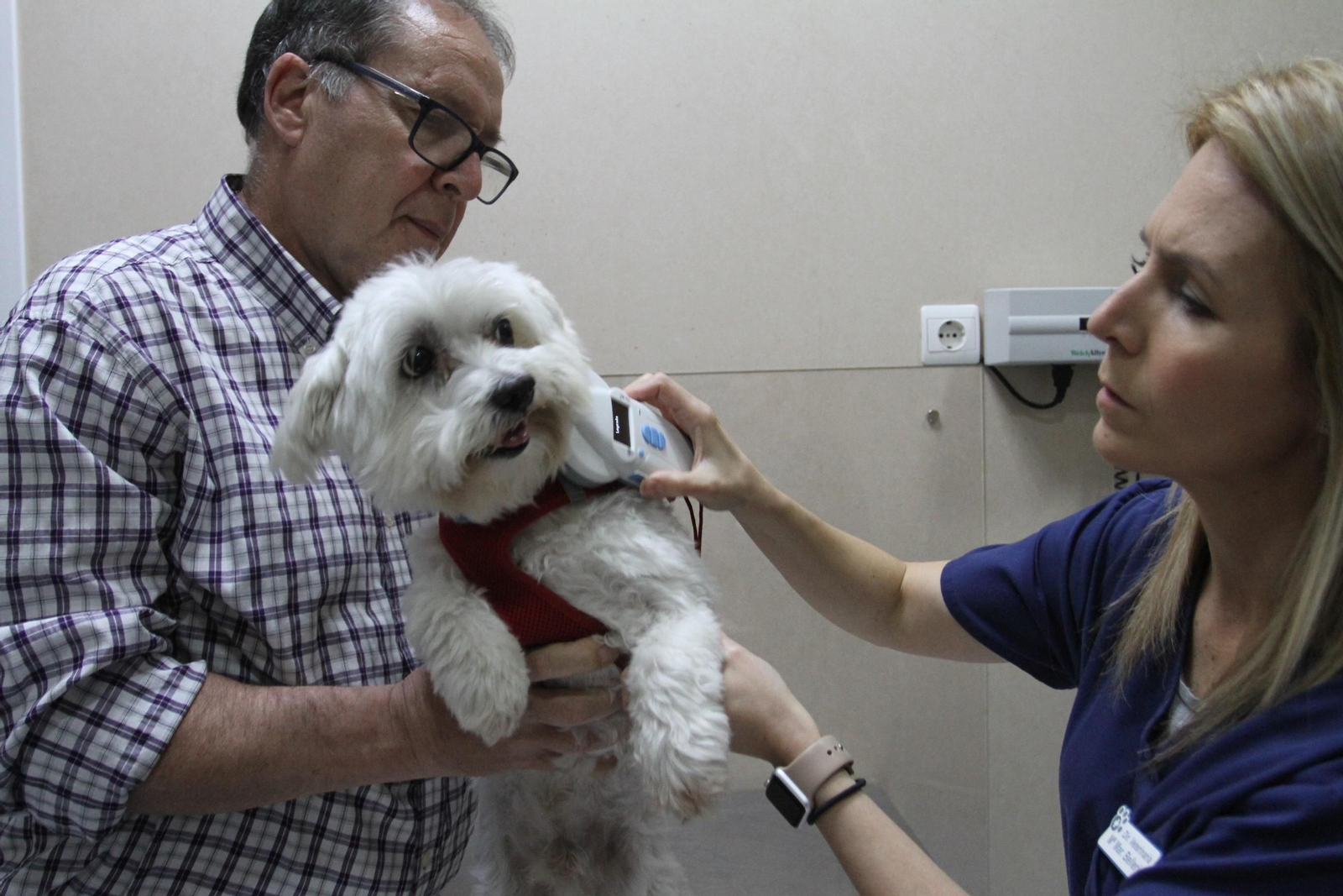 Una veterinaria recibe la visita en su consulta de un cachorro