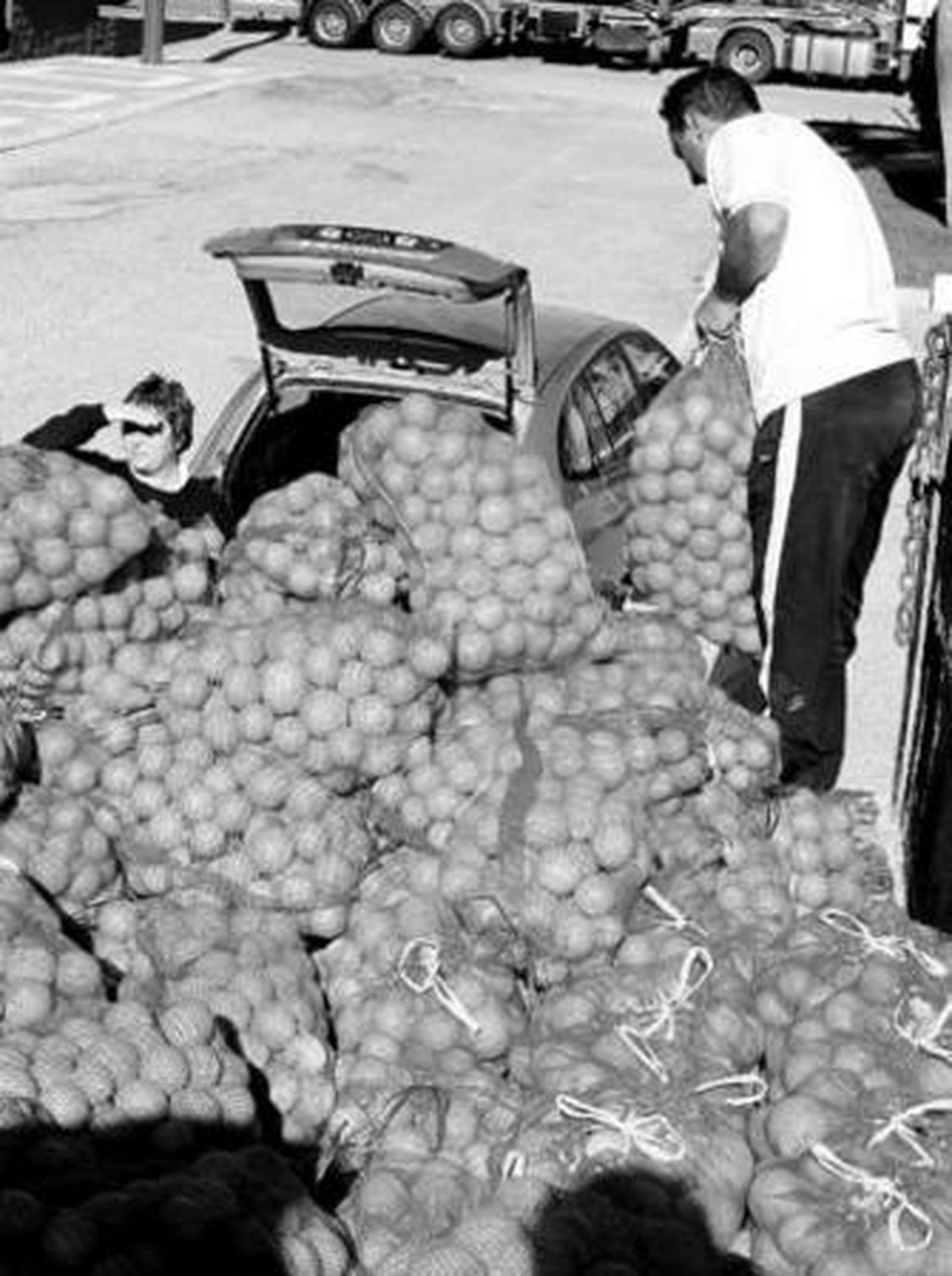 Miles de kilos de naranjas se repartieron ayer entre colectivos que distribuye alimentos a familias sin recursos.