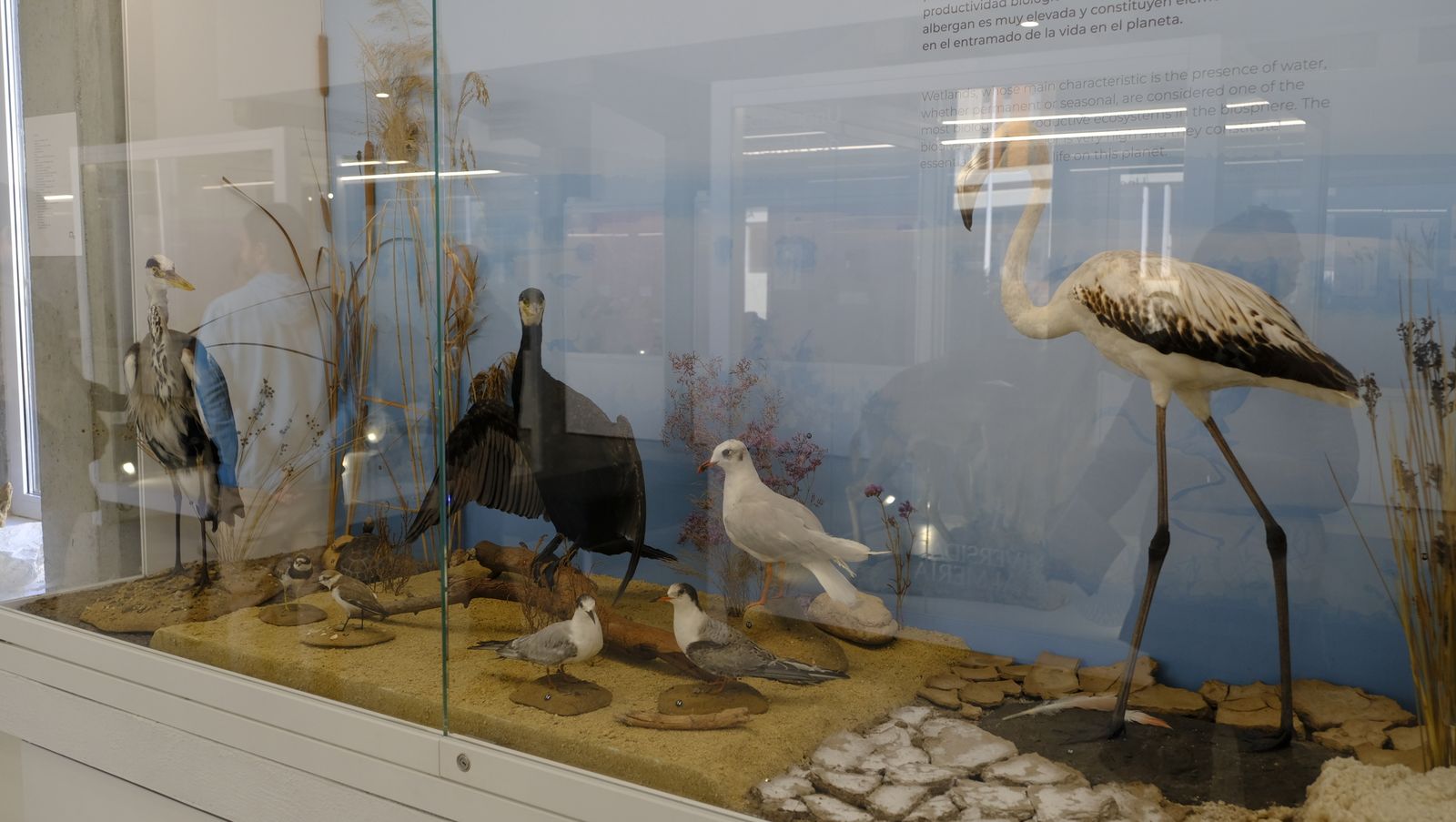 Las mejores imágenes del Pabellón de Historia Natural de la UAL