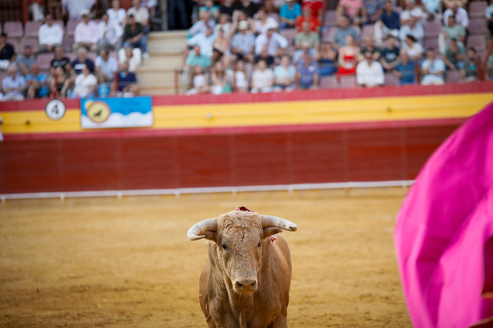 Imágenes de la corrida de toros en Roquetas de Mar