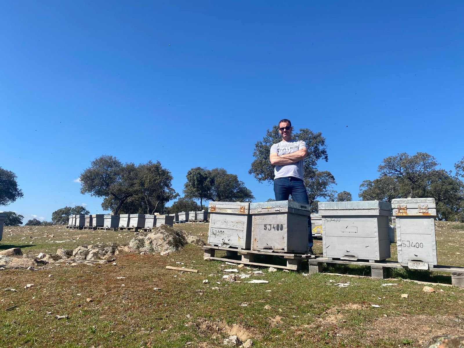 Javier Sanz, apicultor de Andújar y gerente de Miel de Lázaro.