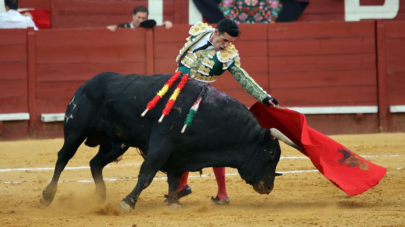 Tarde de toros con Roca Rey, Talavante y Aguado en la Feria de Jerez
