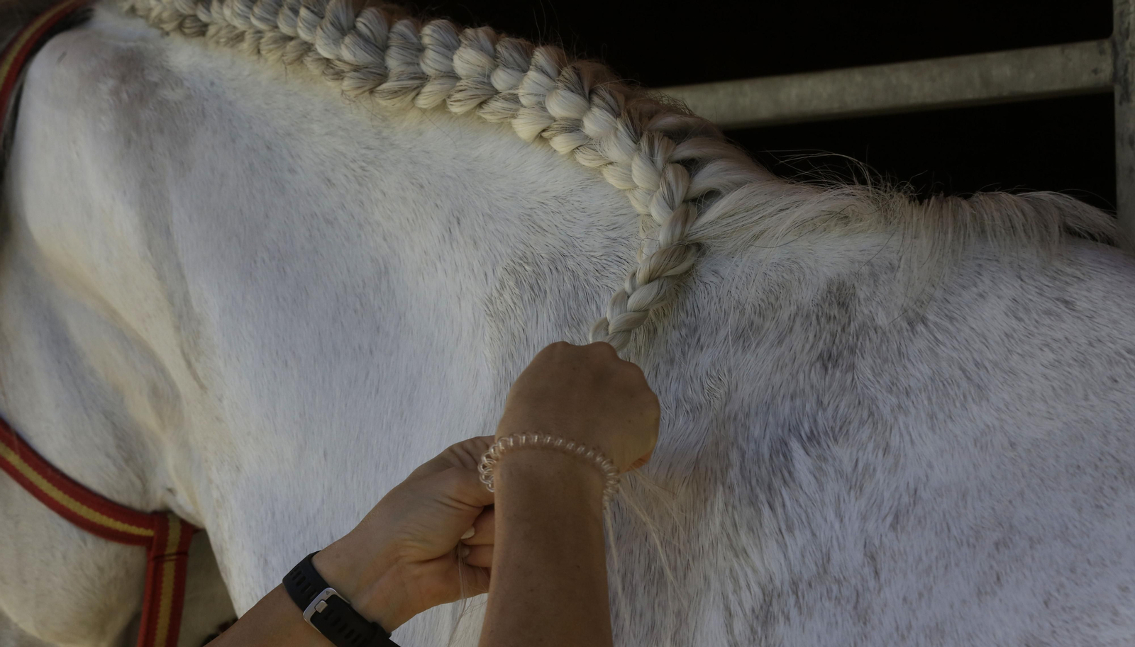 Imágenes del Sicab 2020 en su primer día