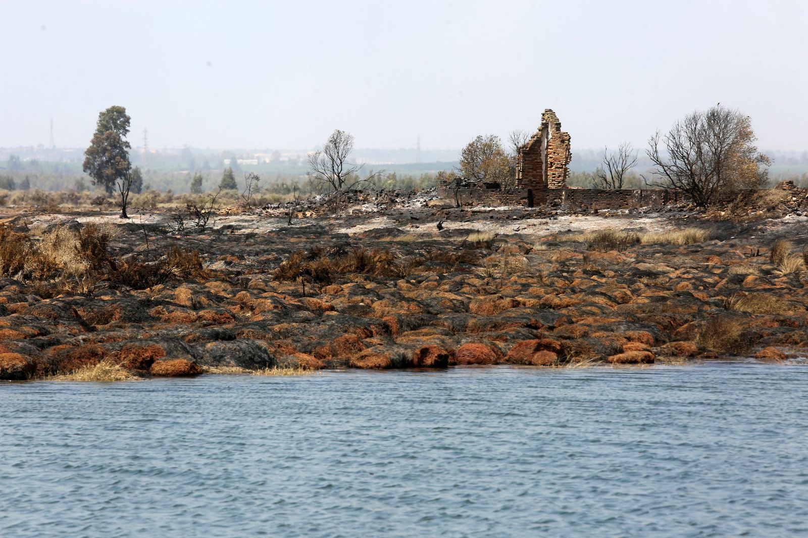 La zona de la Marisma del Burro incendiada el pasado 26 de agosto.
