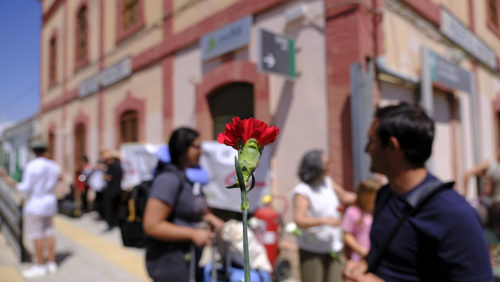 Claveles en defensa del tren en la provincia de Almería, en imágenes