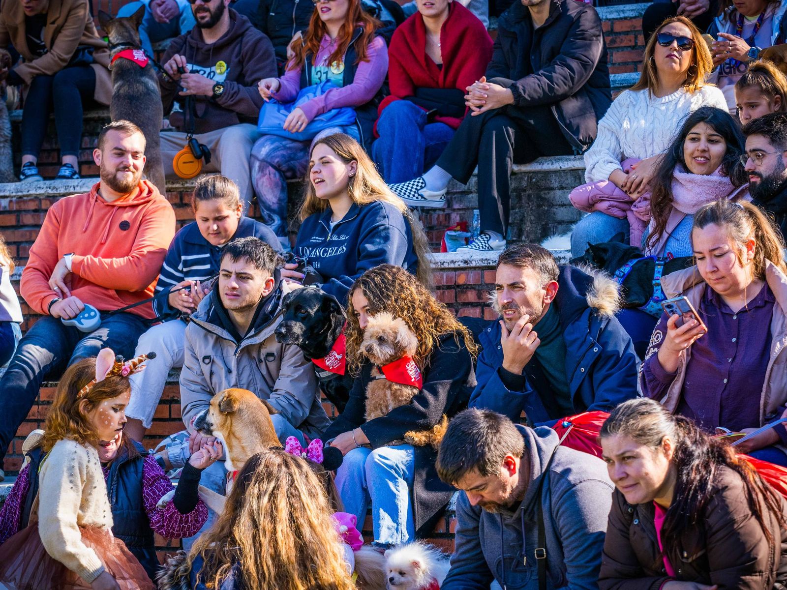Las imágenes de San Antón 2025 en San Fernando