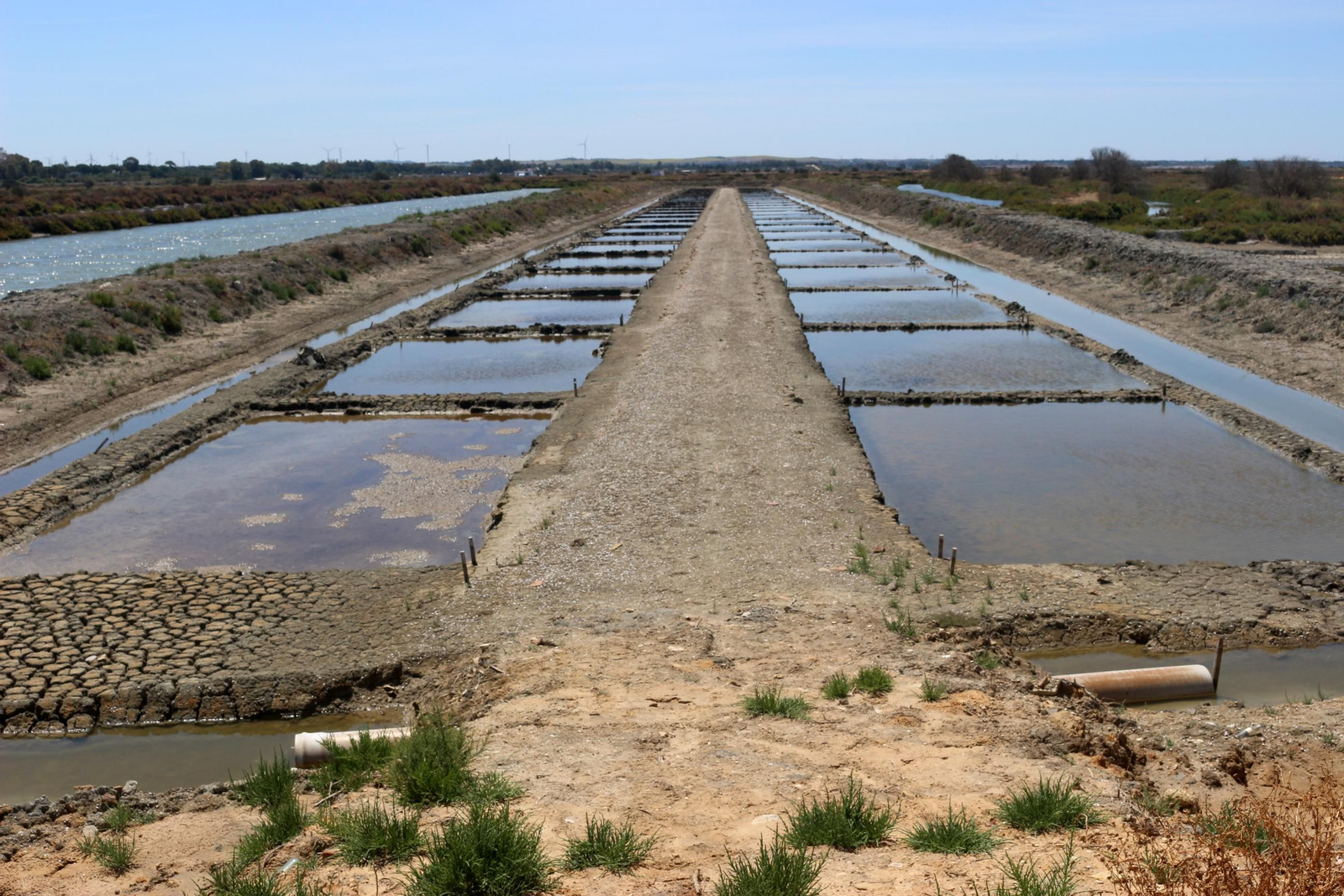 La recuperación de la Salina Balbanera, en imágenes