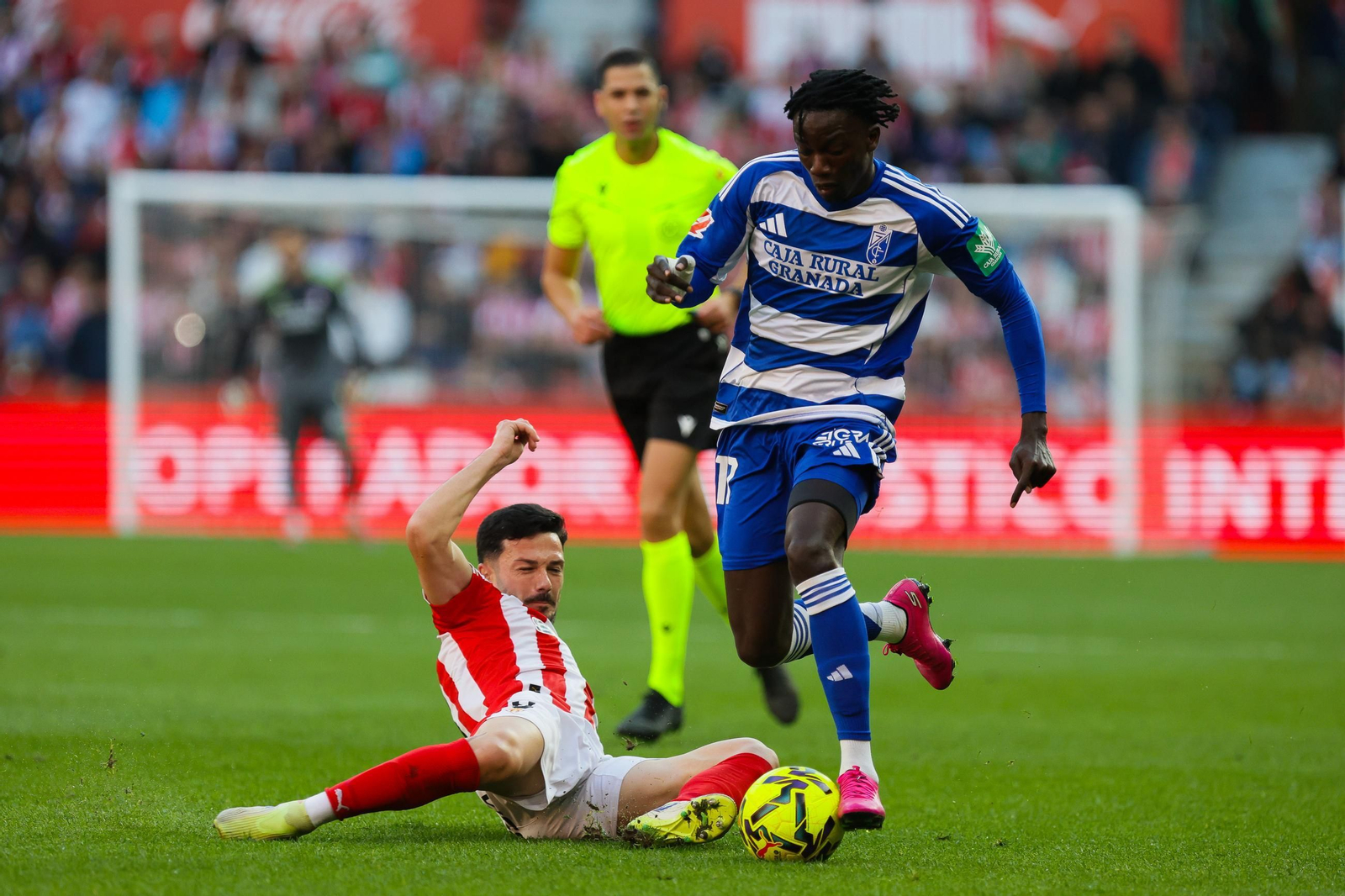 Las mejores imágenes del Real Sporting-Granada CF