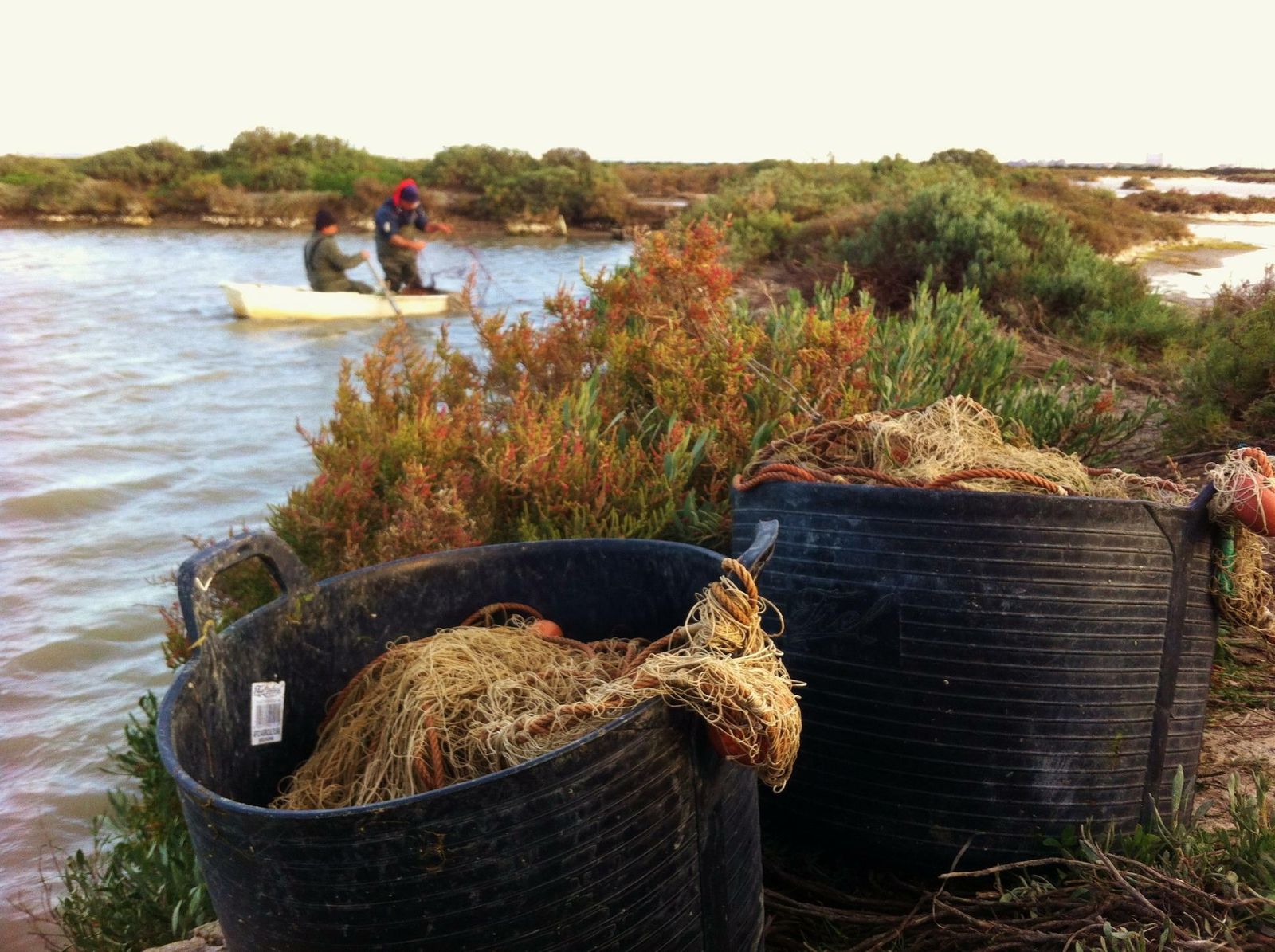 Una zona de marisqueo, en una imagen de archivo.